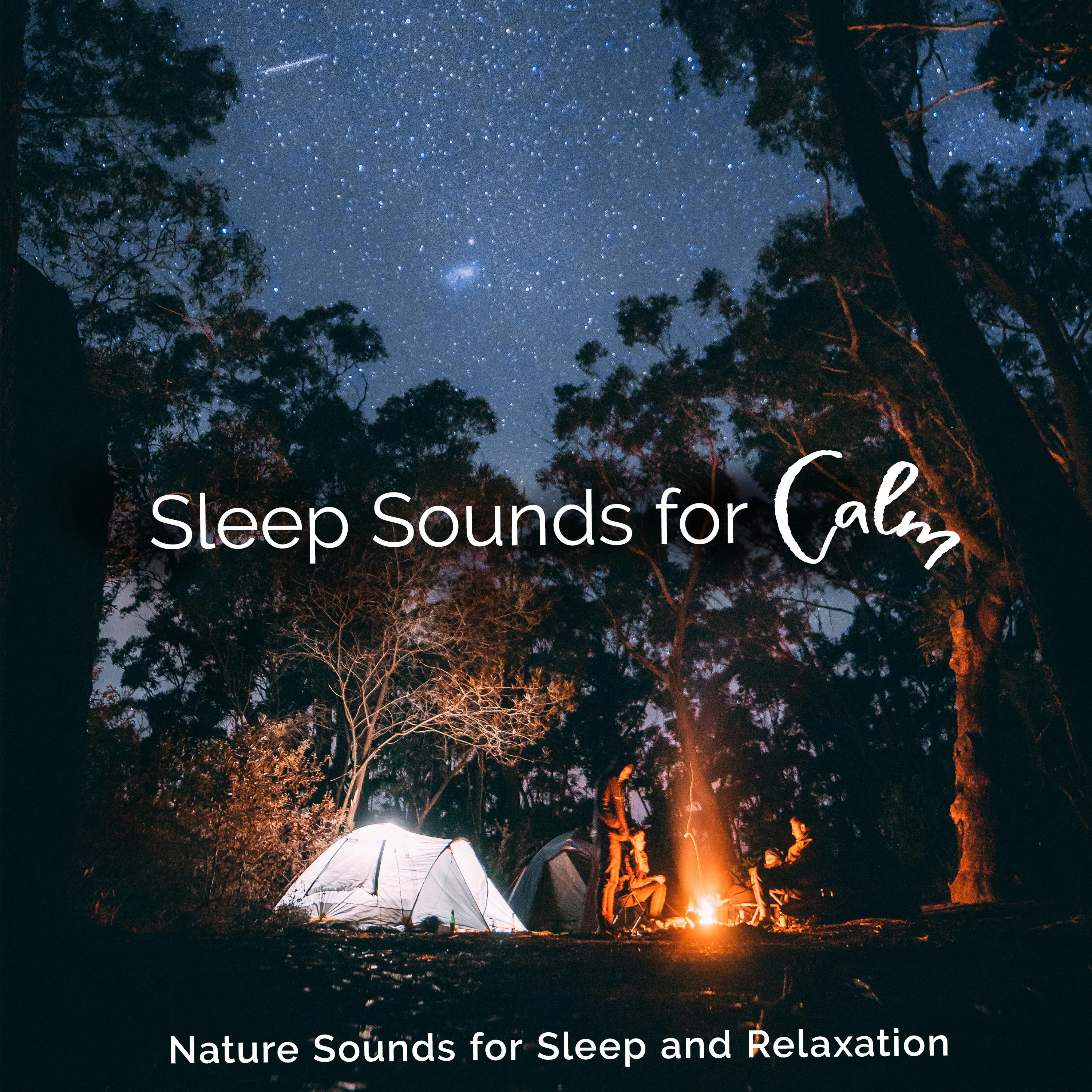 Sleep Sounds for Calm