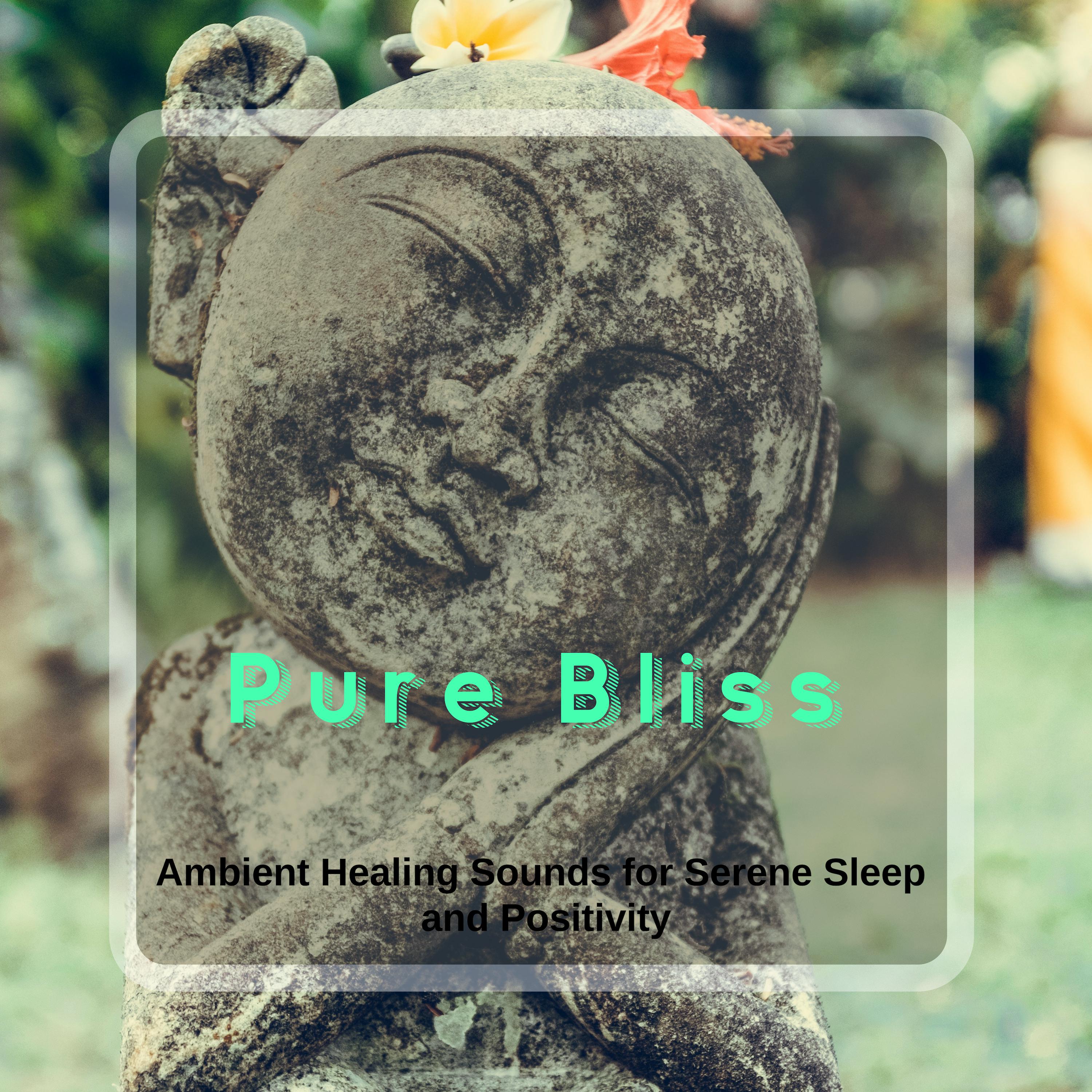 Pure Bliss - Ambient Healing Sounds For Serene Sleep And Positivity