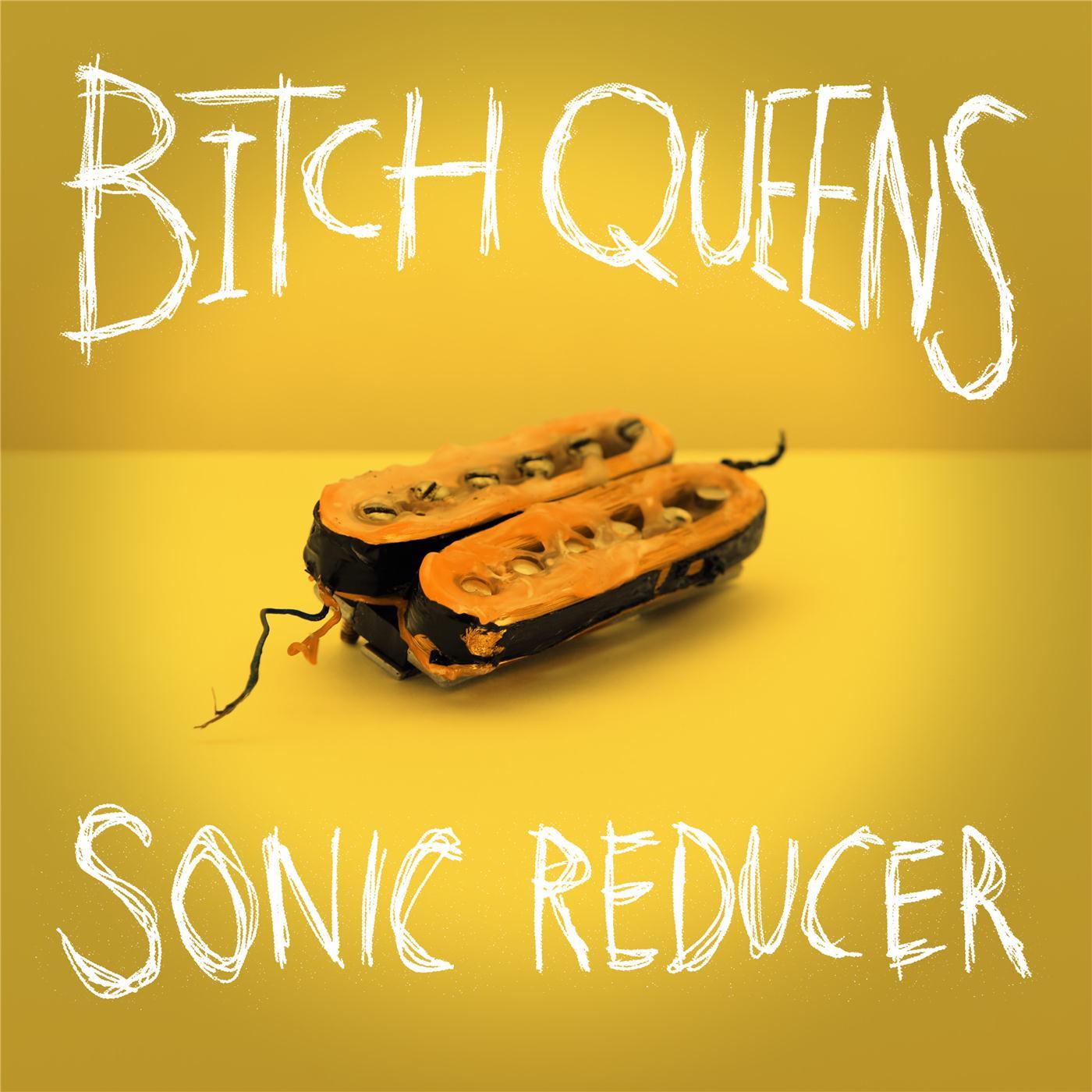 Sonic Reducer