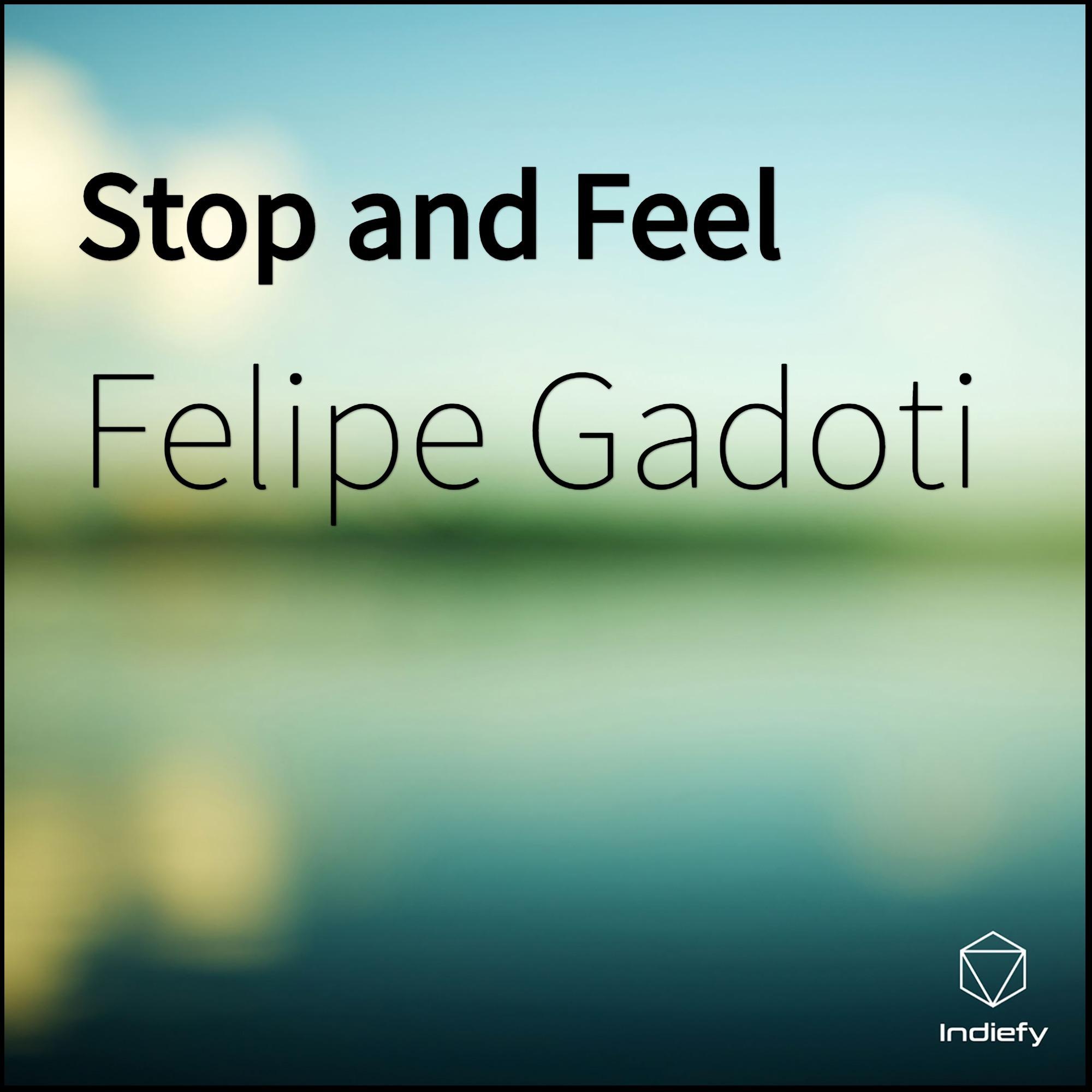 Stop and Feel