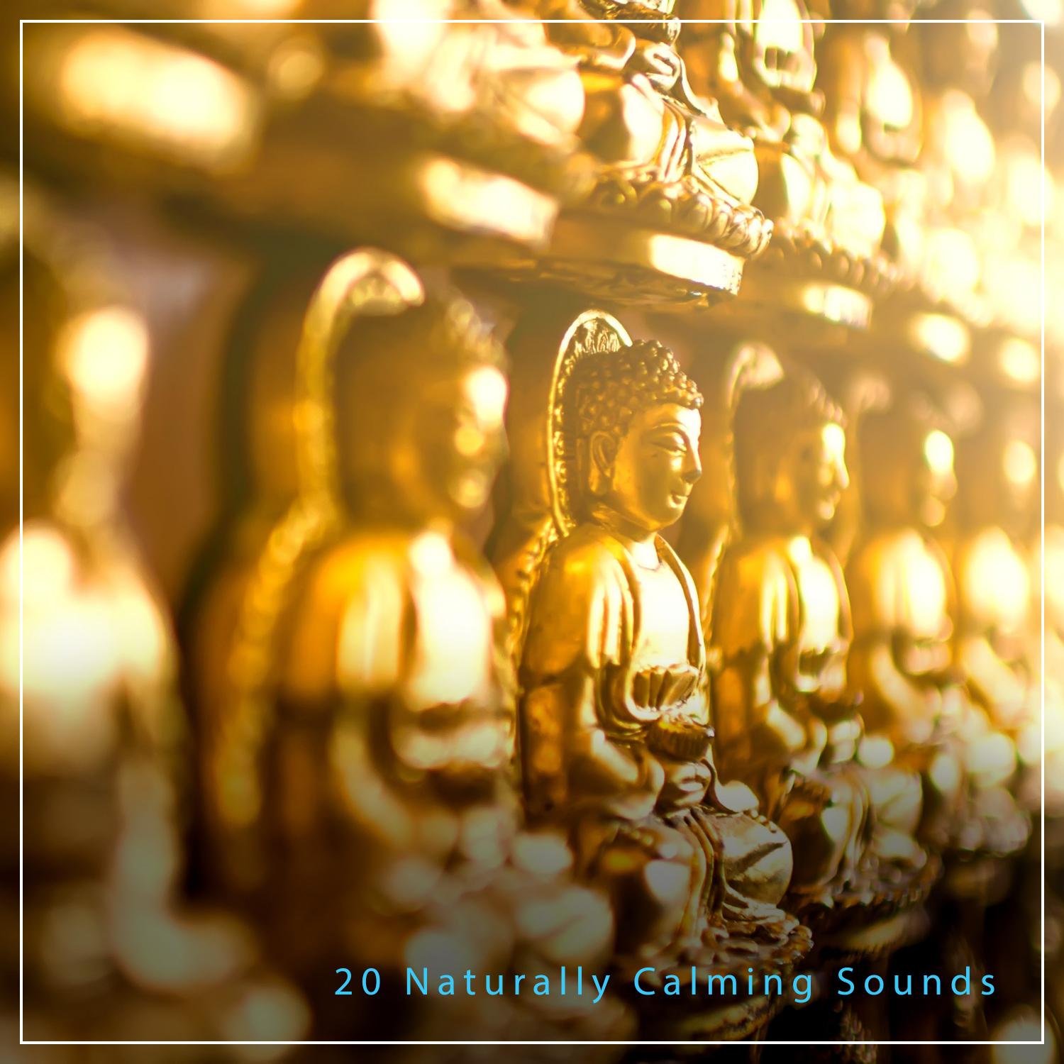 20 Naturally Calming Sounds for Meditation, Yoga & Spa