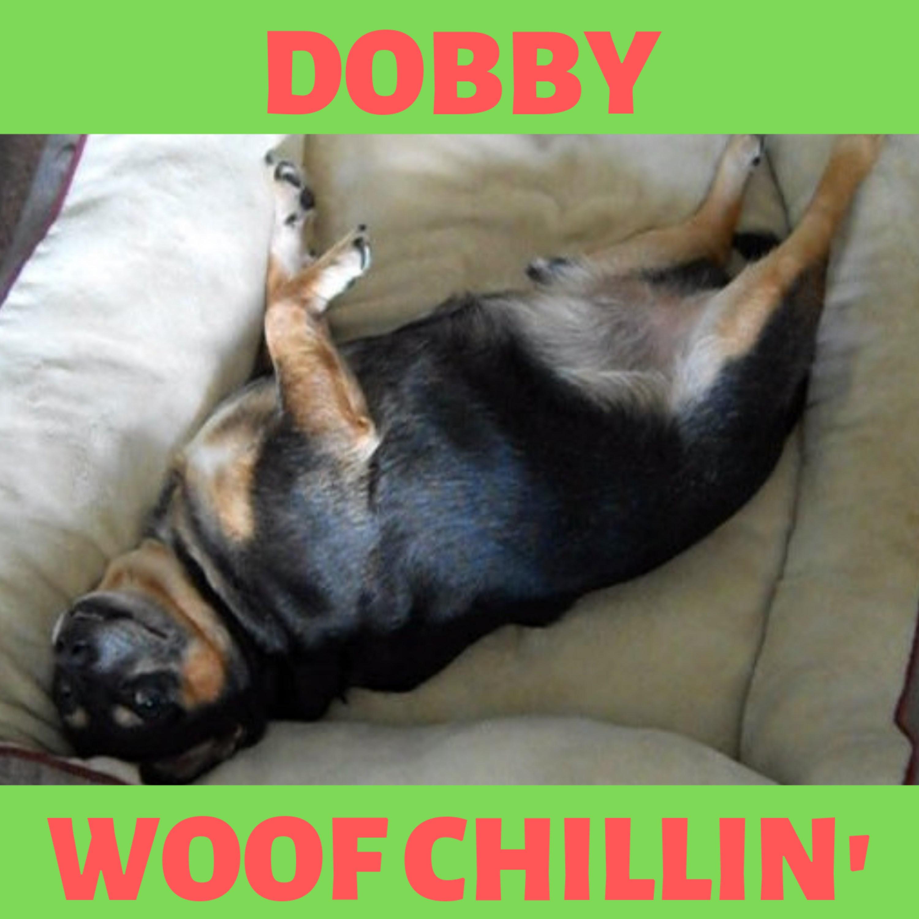 Dobby - Woof Chillin'