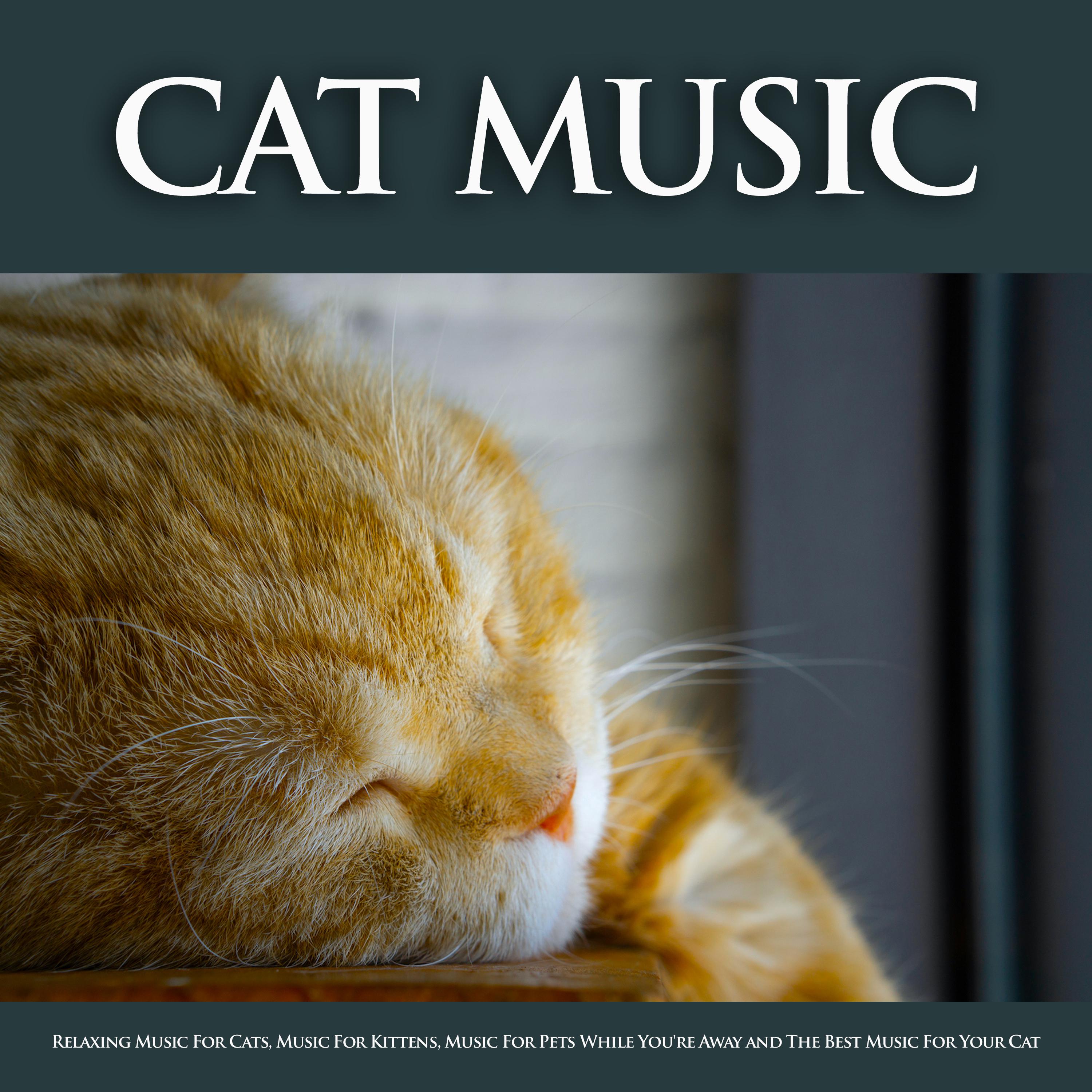 Cat Music: Relaxing Music For Cats, Music For Kittens, Music For Pets While You're Away and The Best Music For Your Cat