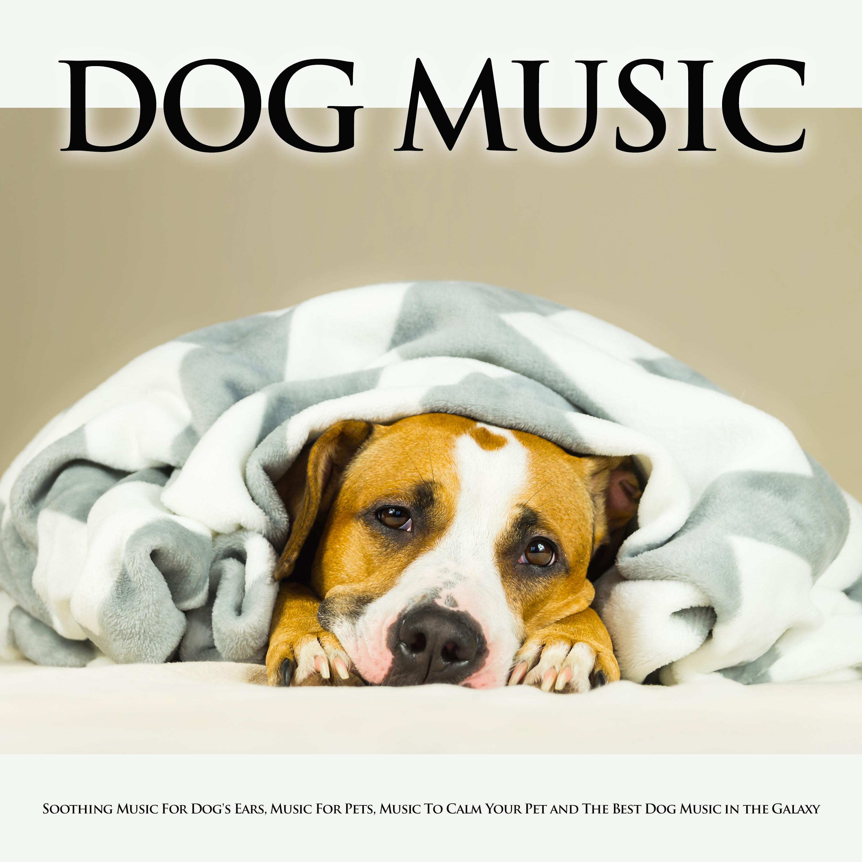 Dog Music: Soothing Music For Dog's Ears, Music For Pets, Music To Calm Your Pet and The Best Dog Music in the Galaxy