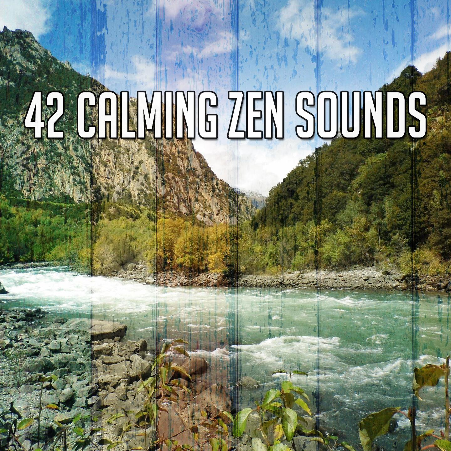 42 Calming Zen Sounds