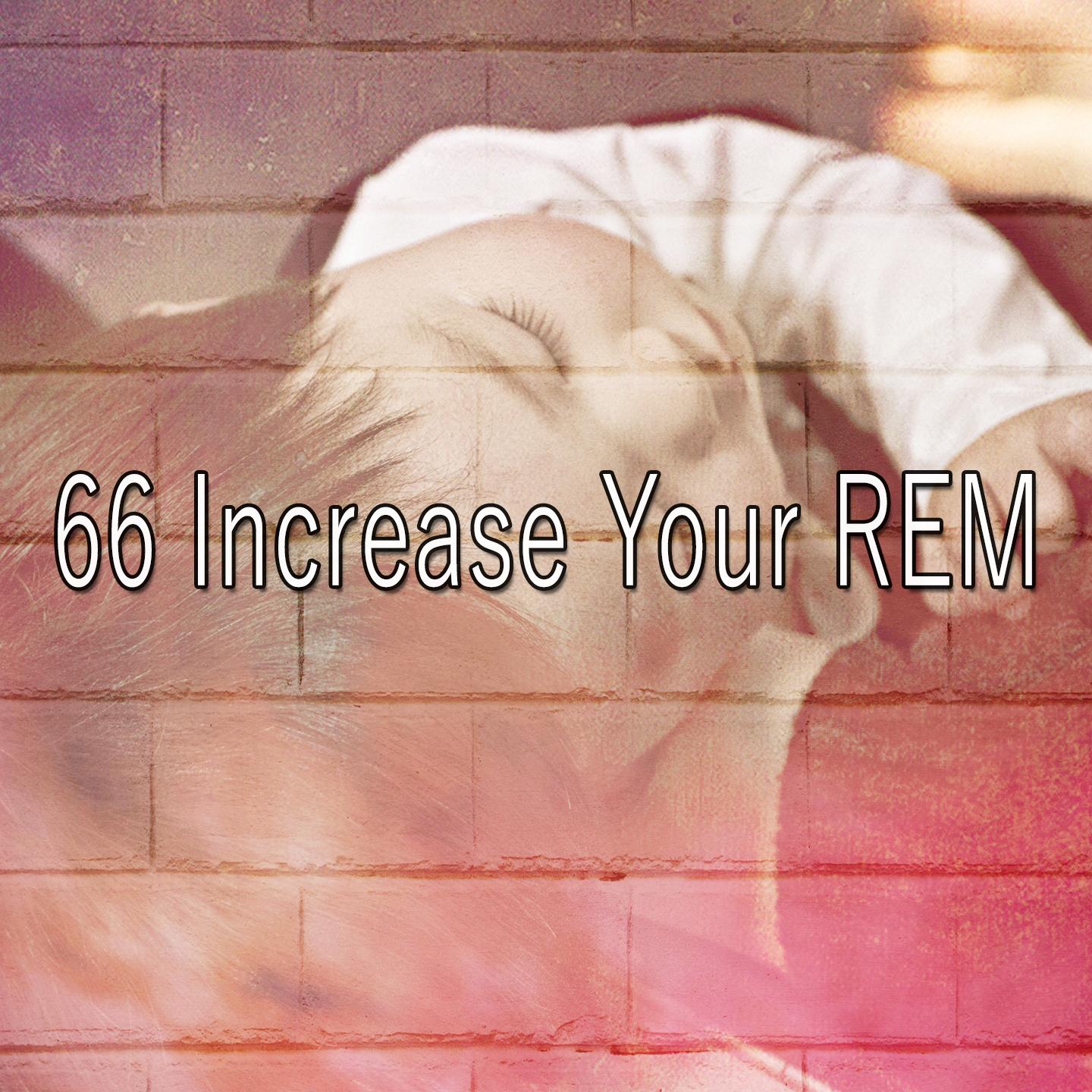 66 Increase Your Rem
