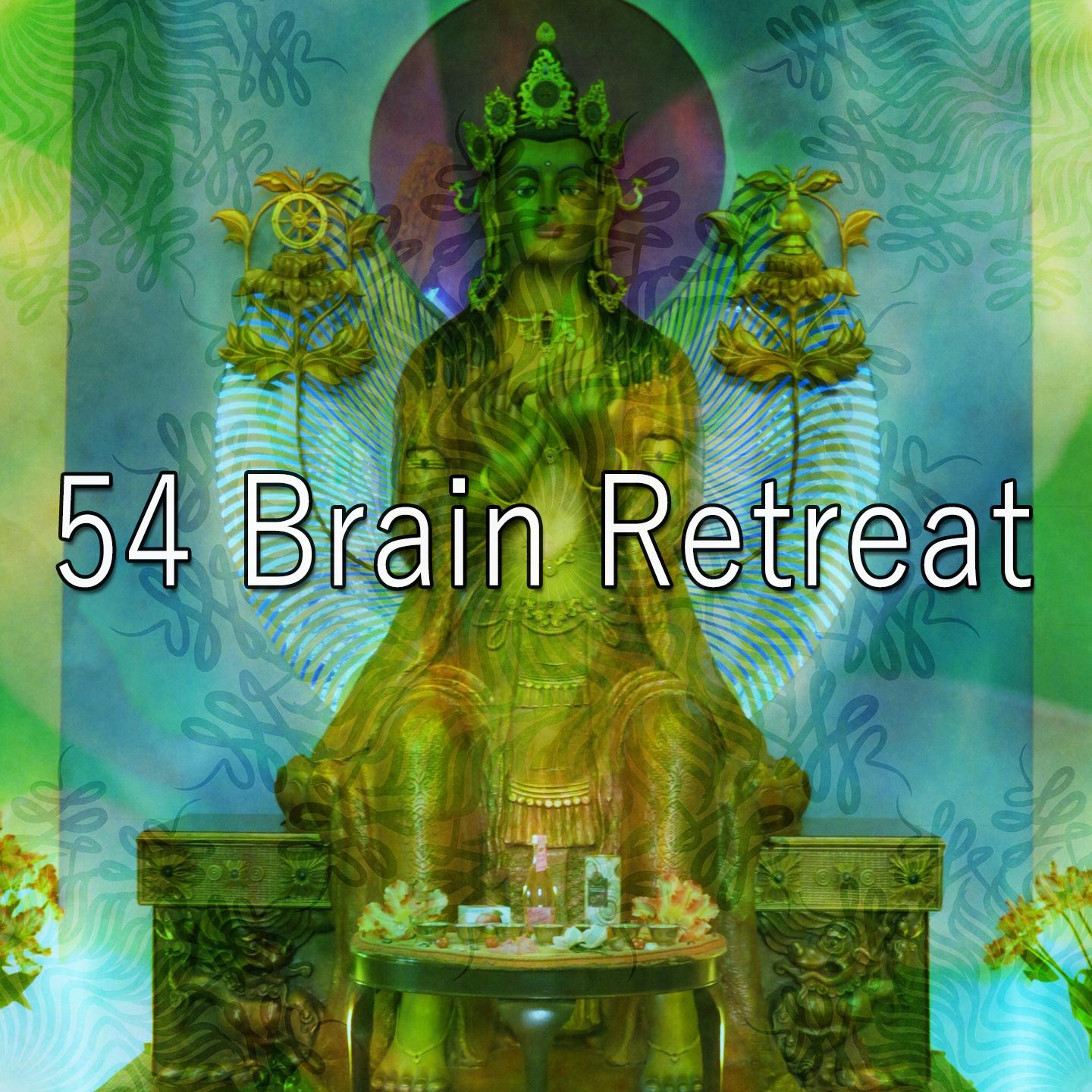 54 Brain Retreat