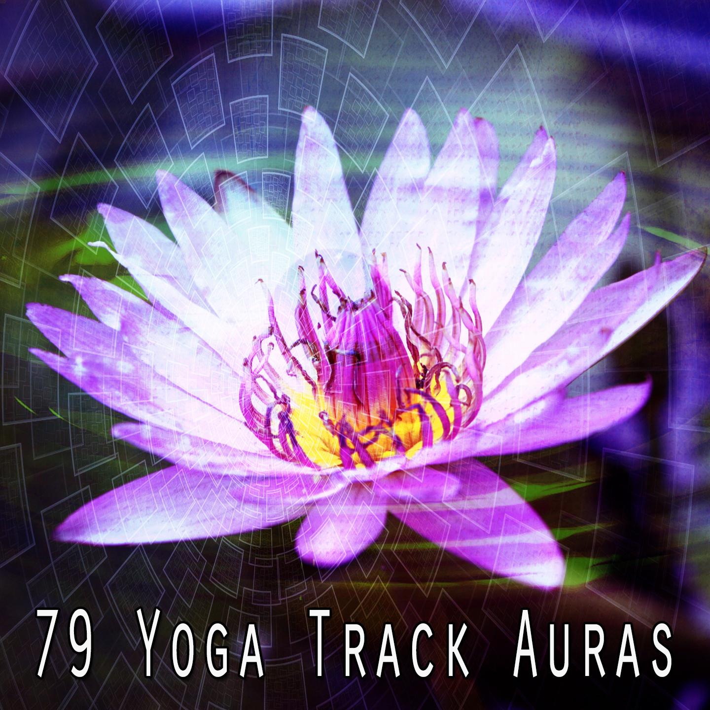 79 Yoga Track Auras
