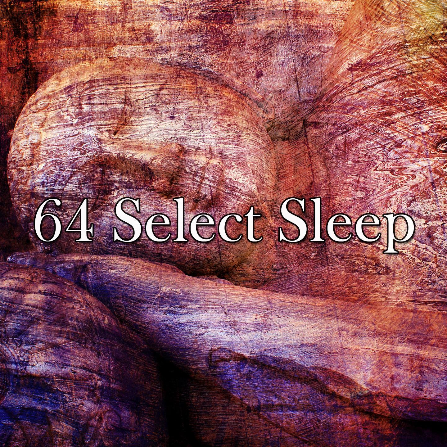 64 Select Sleep