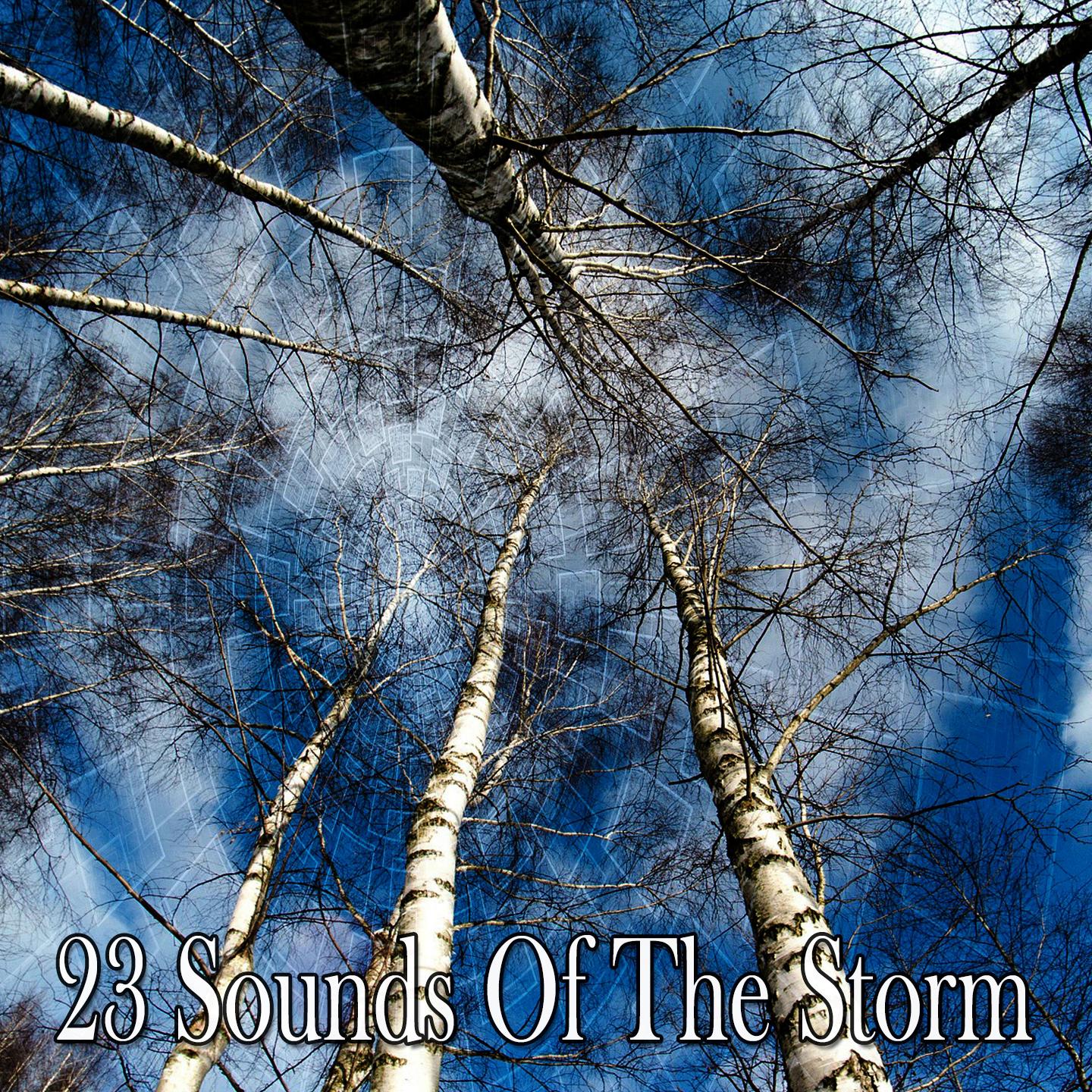 23 Sounds of the Storm