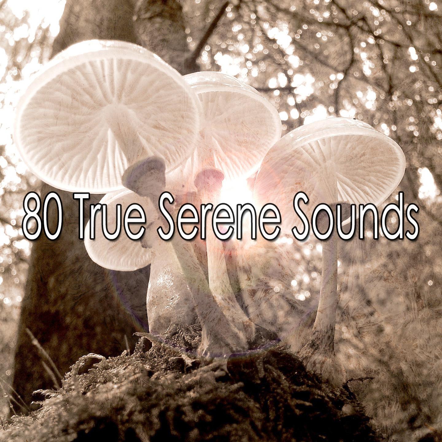 80 True Serene Sounds