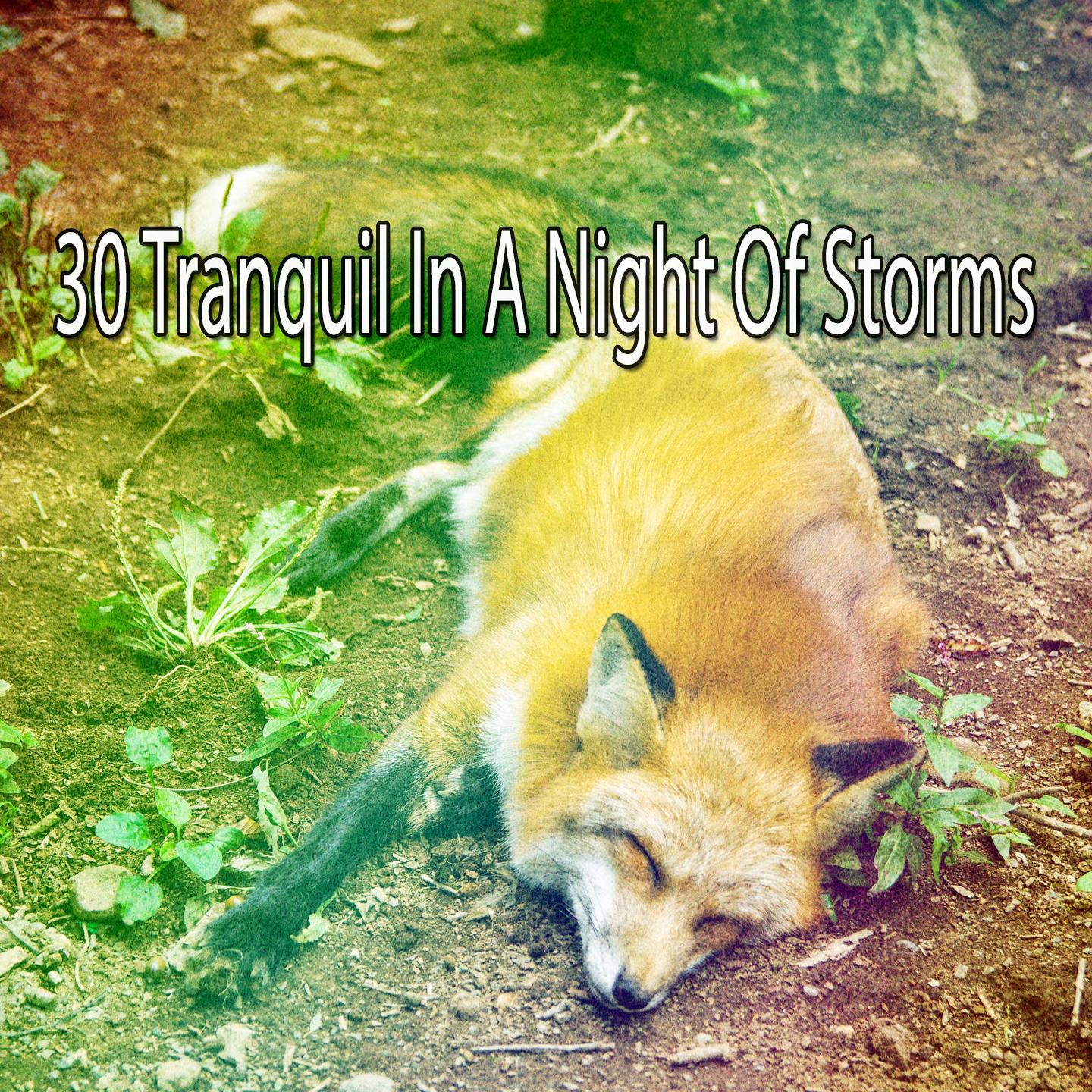 30 Tranquil in a Night of Storms