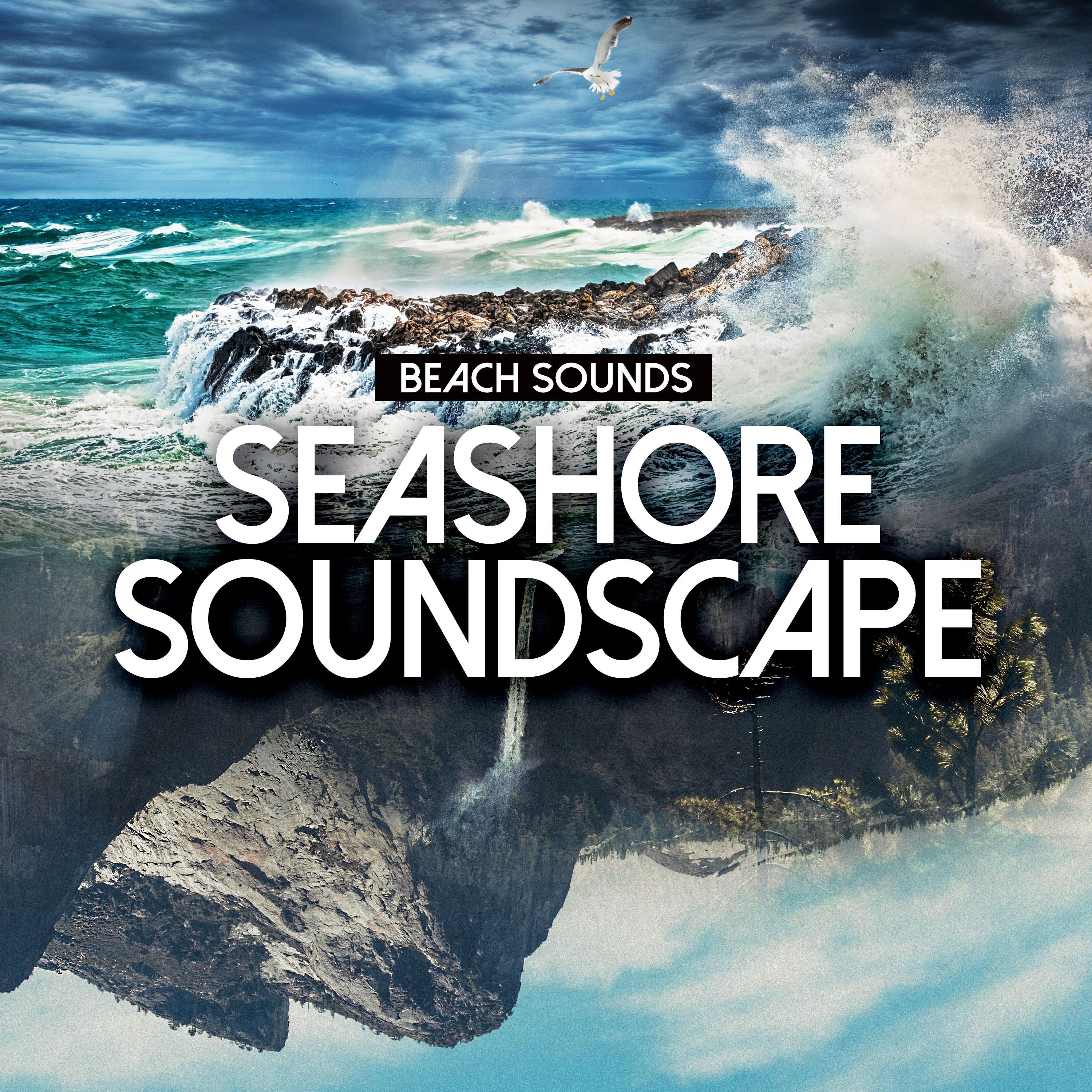 Seashore Soundscape