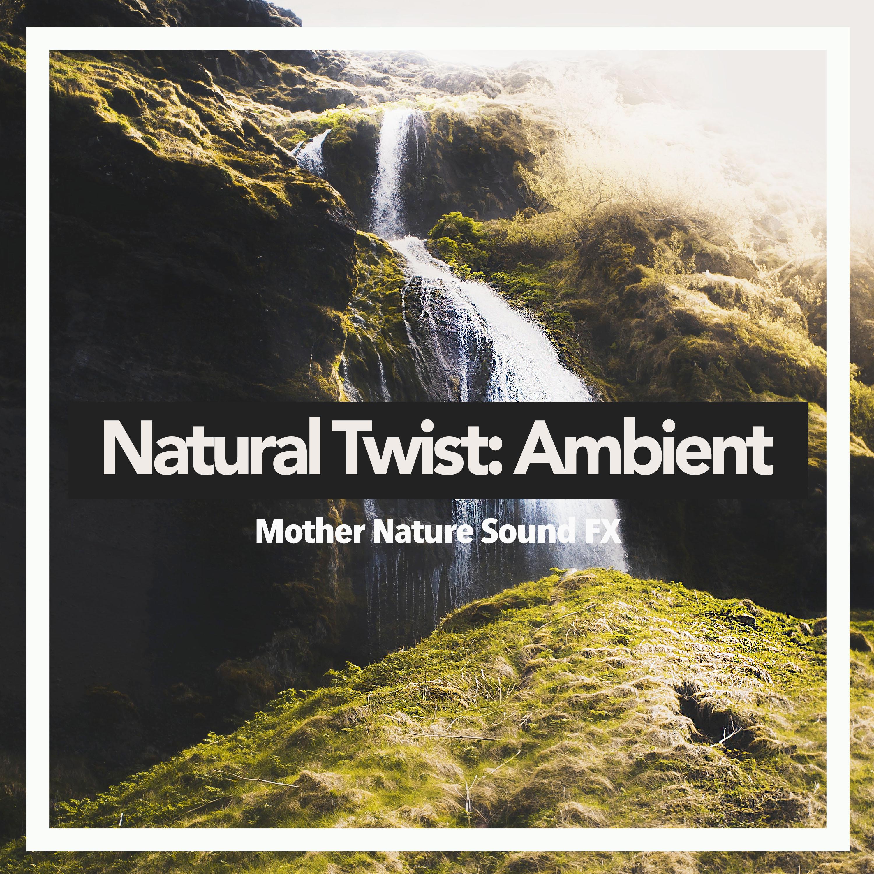 Natural Twist: Ambient