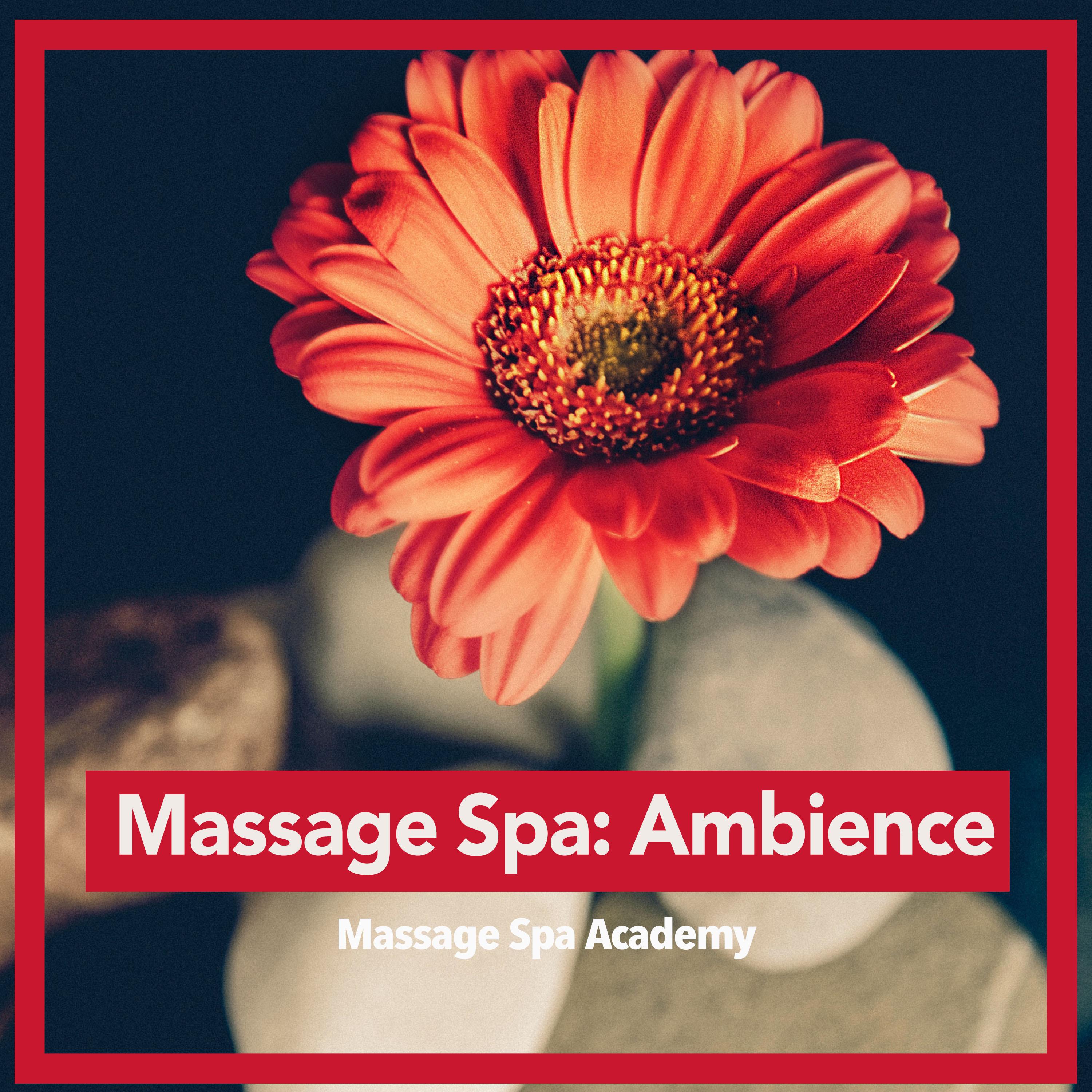 Massage Spa: Ambience