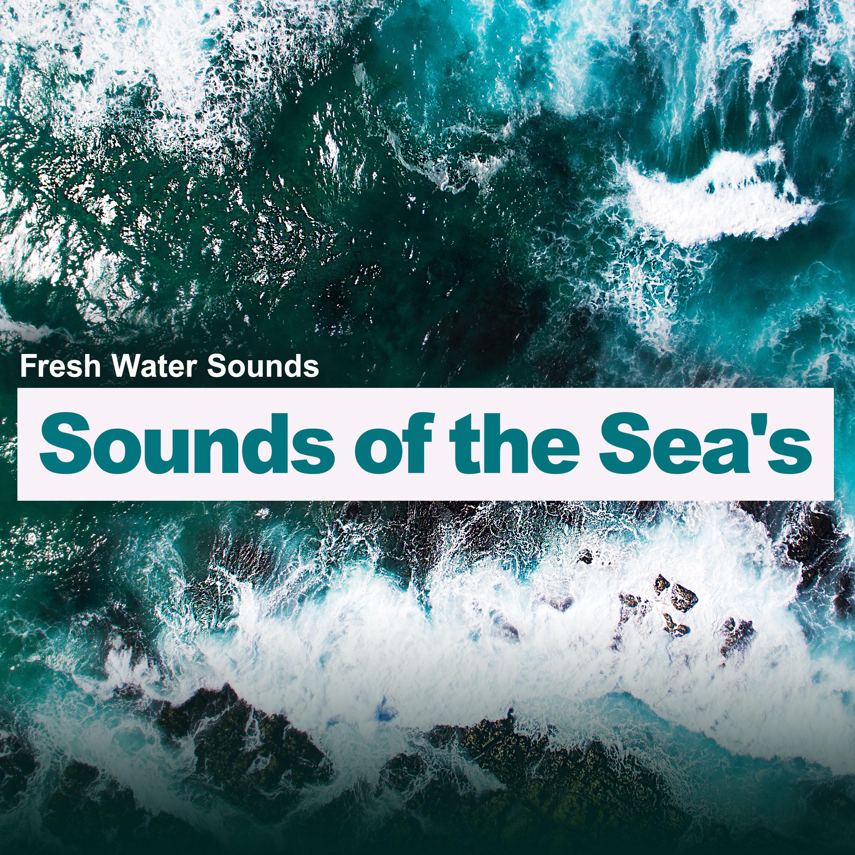 Sounds of the Sea's