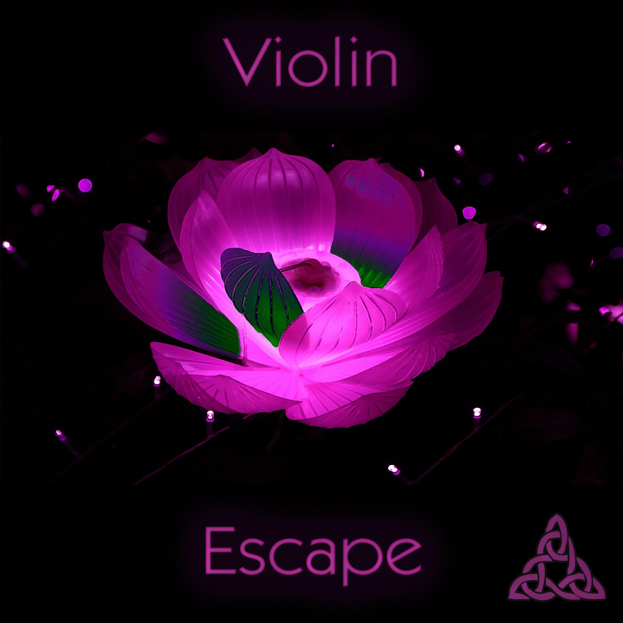 Violin