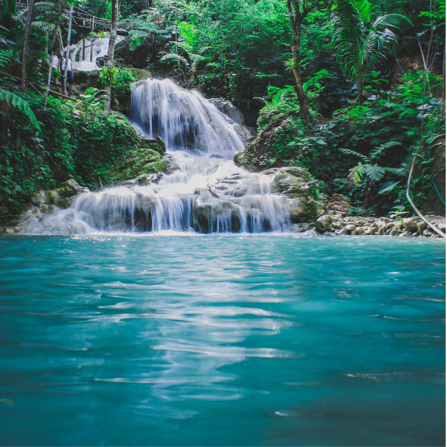 Calm Nature Crickets Sounds Loopable