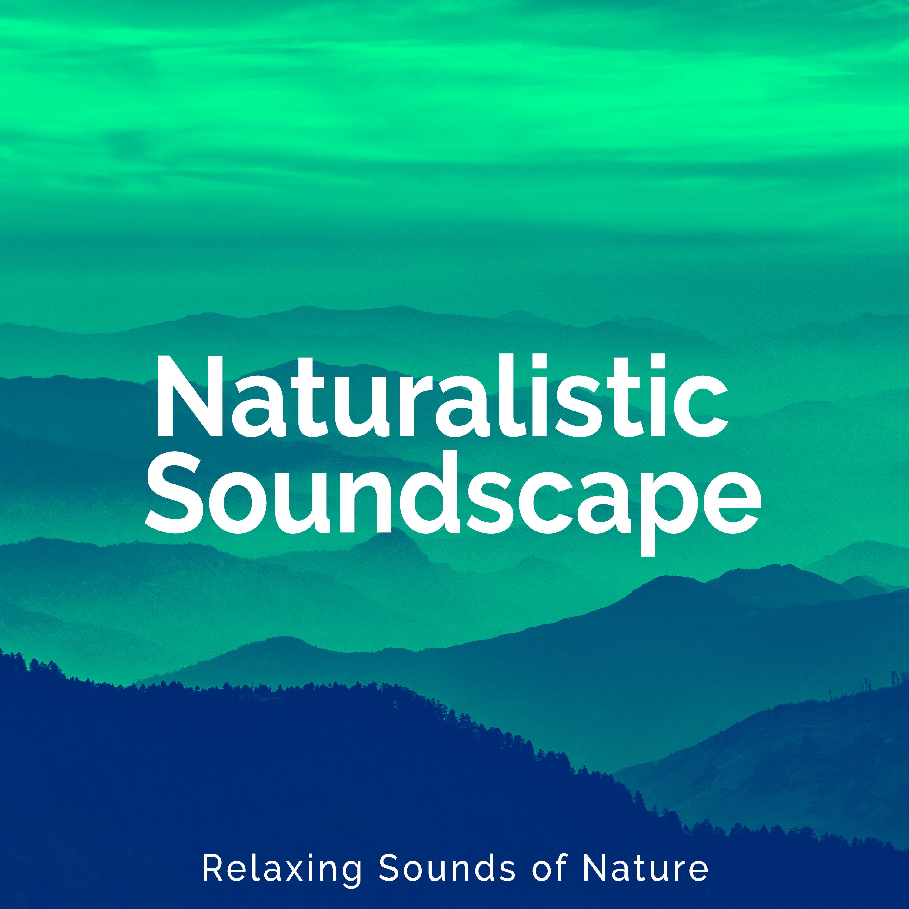 Naturalistic Soundscape