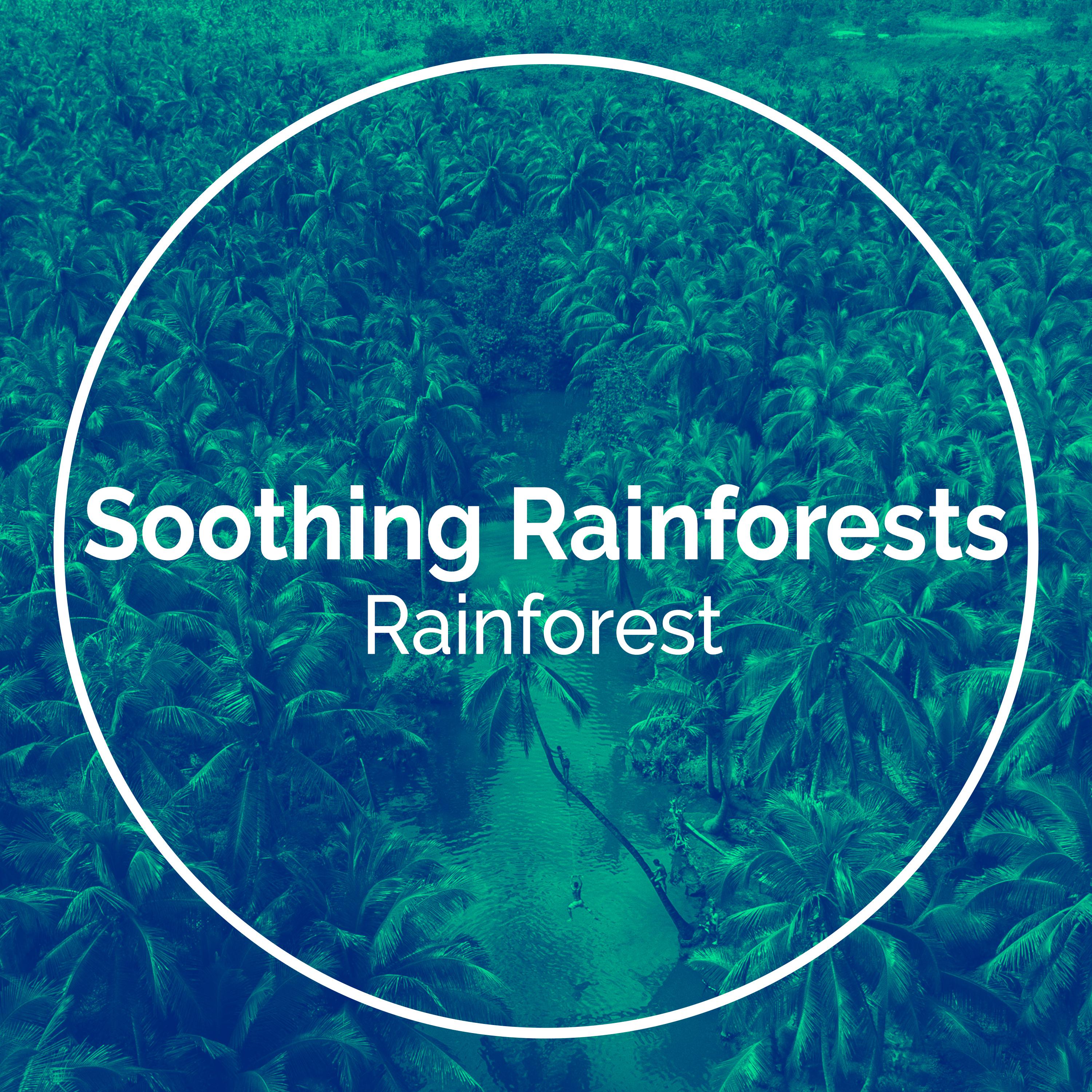 Soothing Rainforests