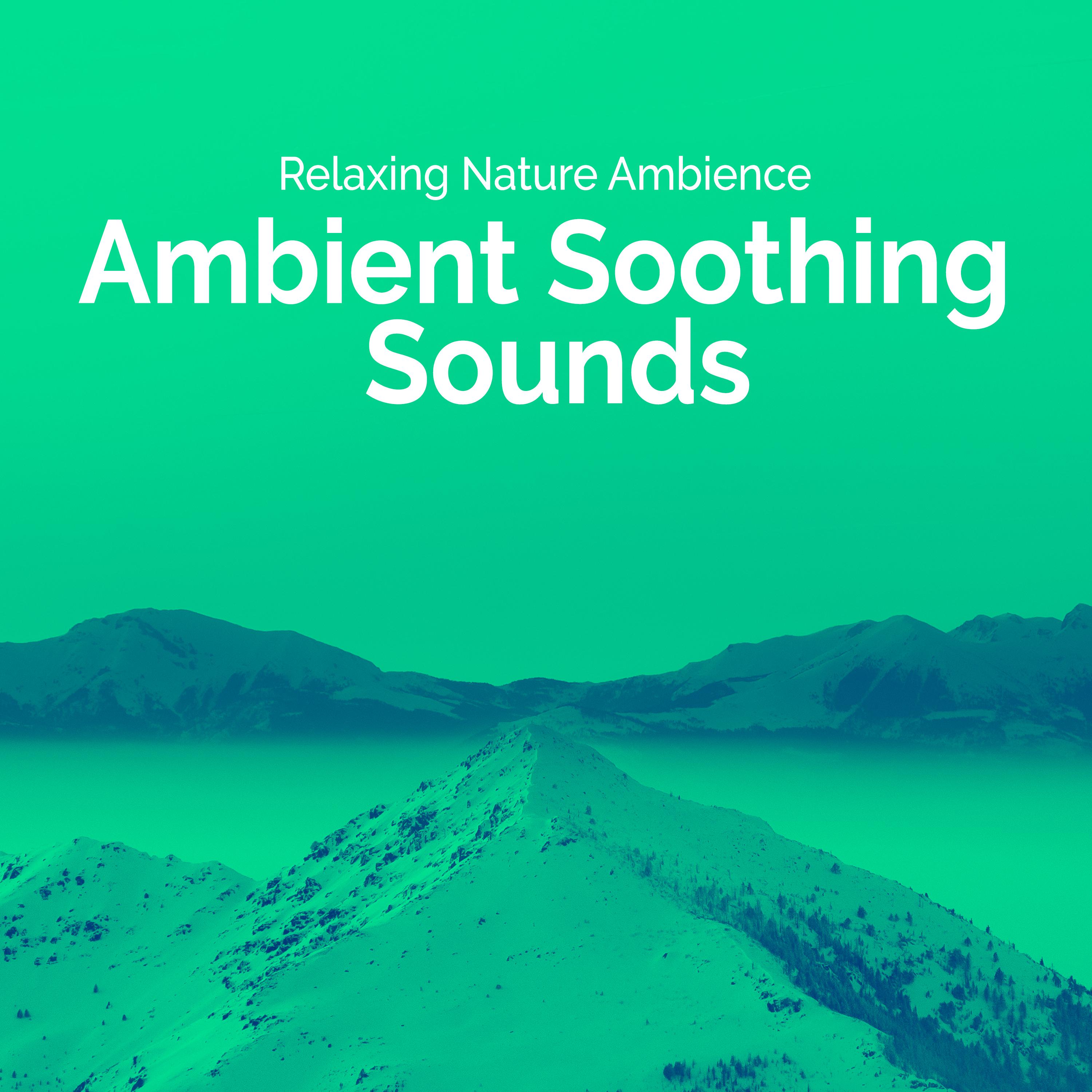 Ambient Soothing Sounds