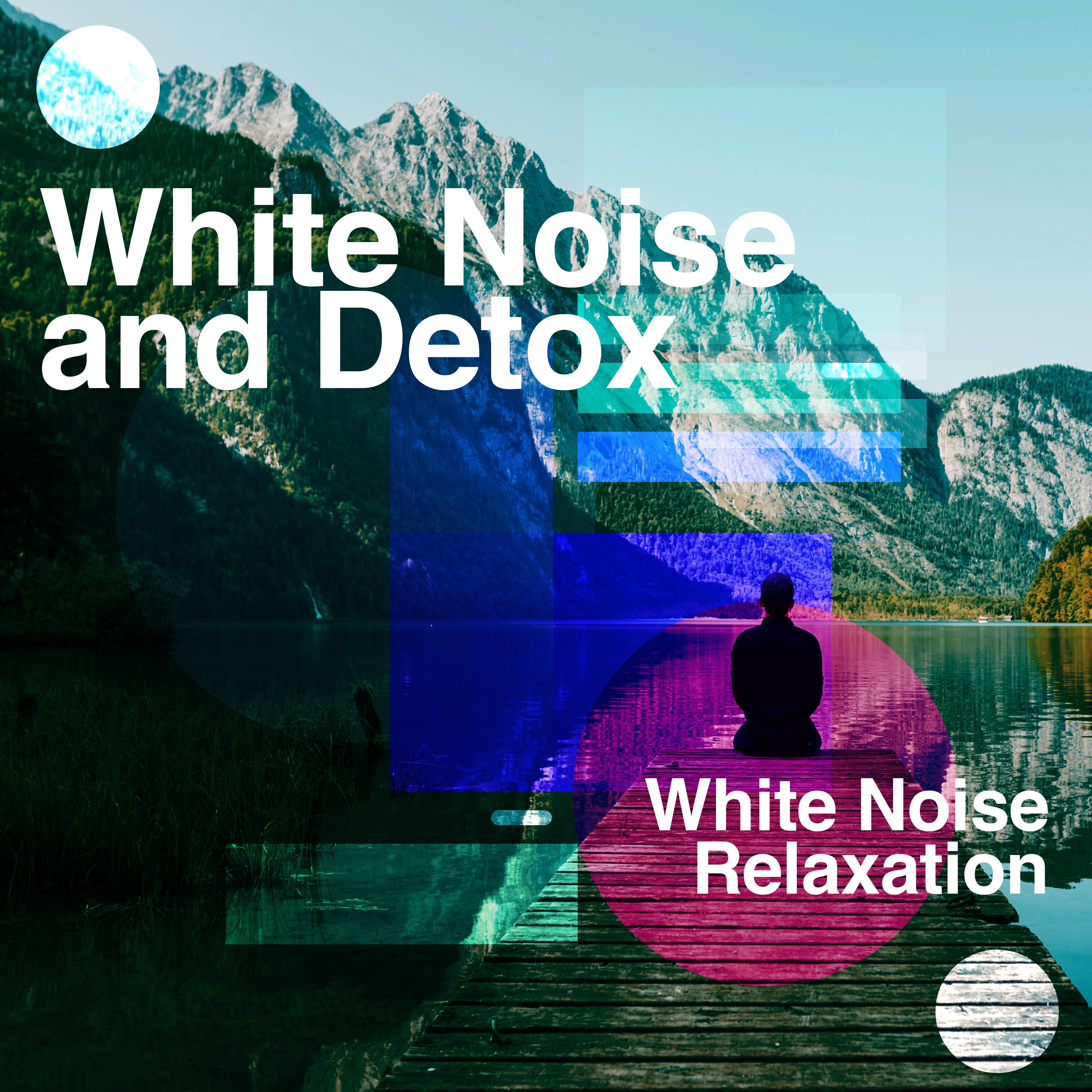 White Noise and Detox
