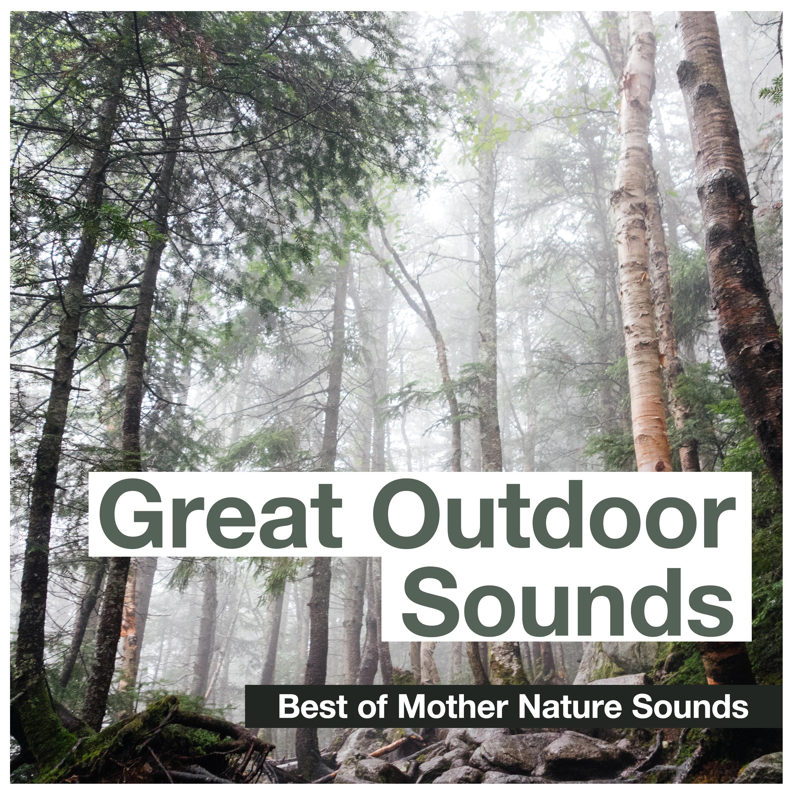 Great Outdoor Sounds