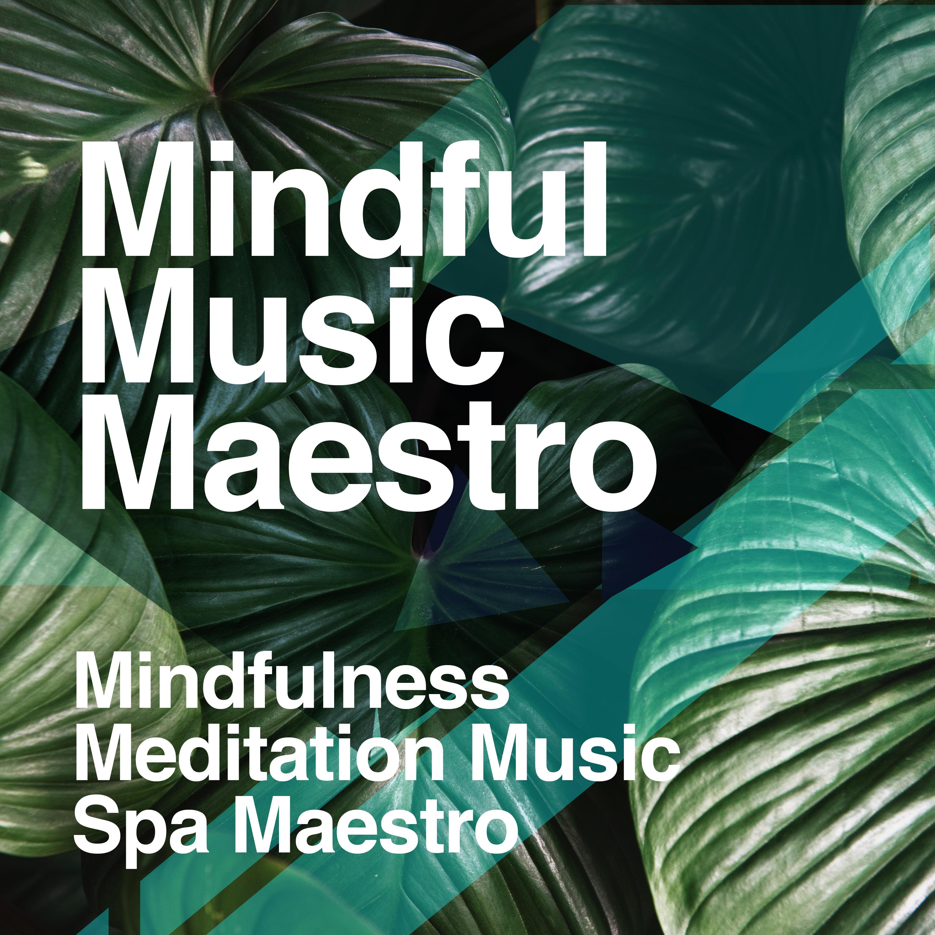 Mindful Music Maestro