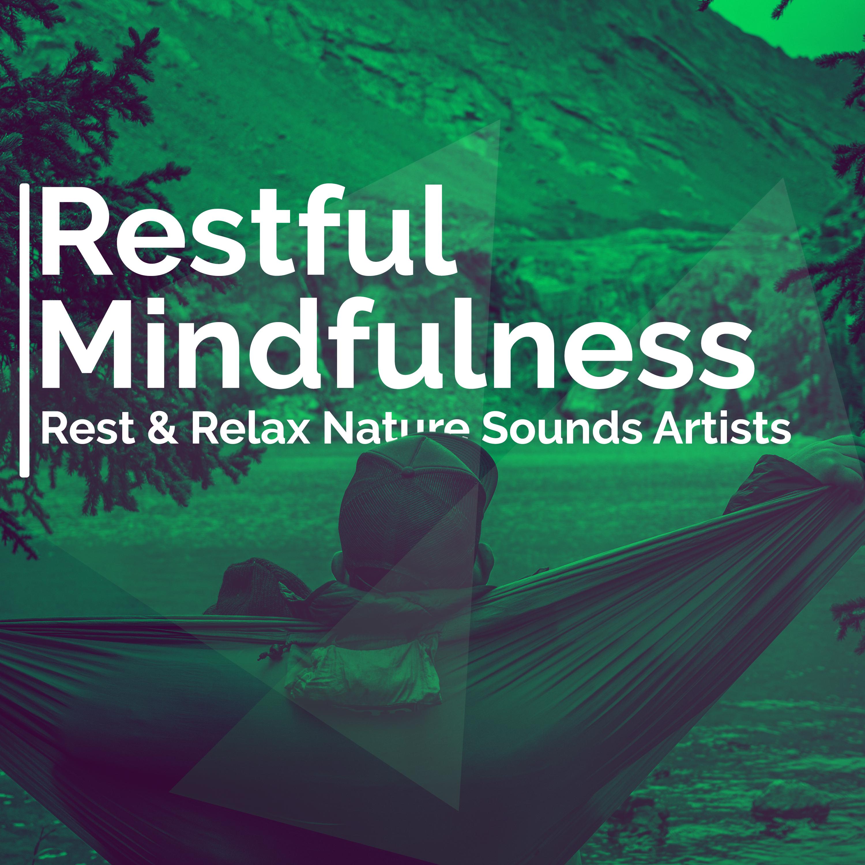 Restful Mindfulness