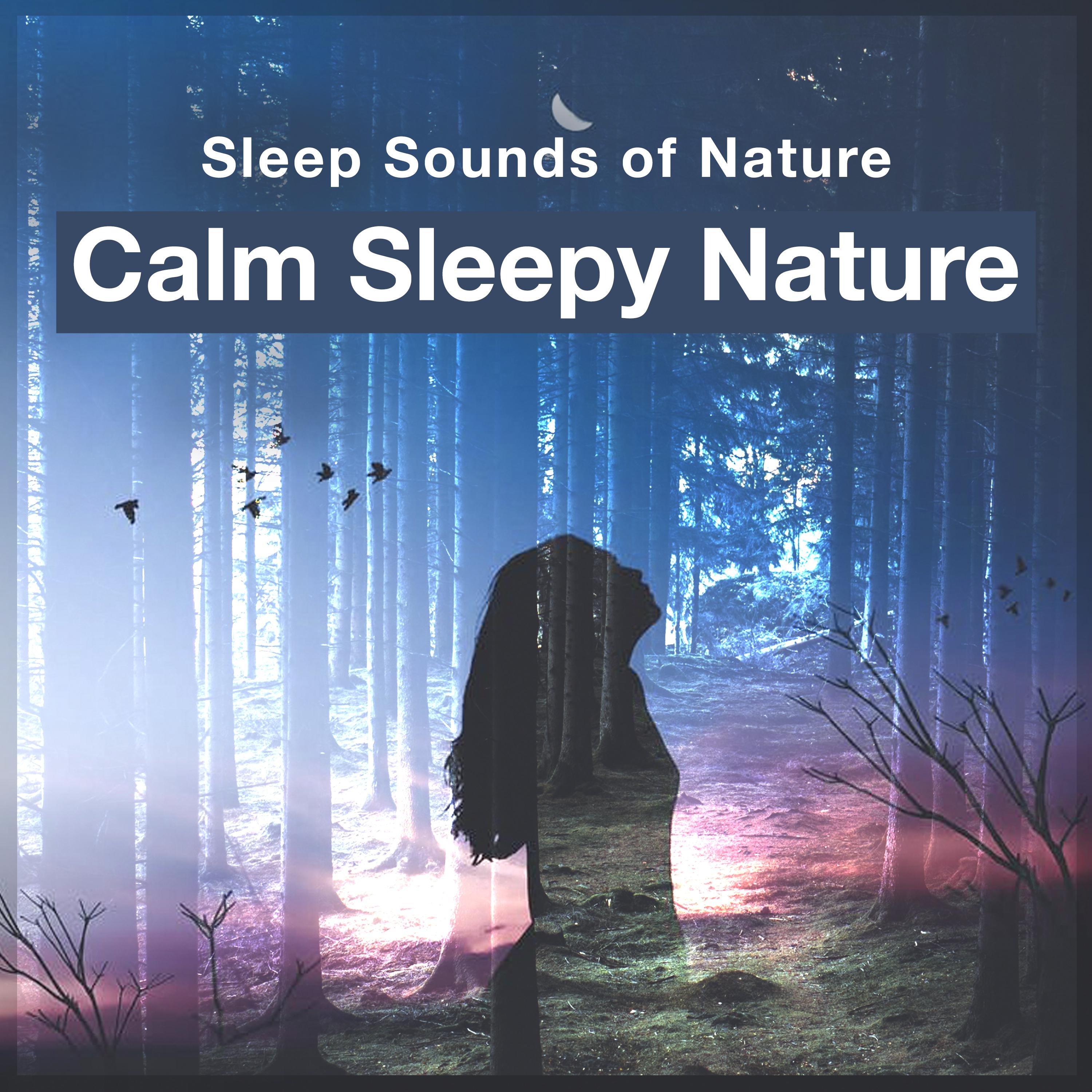 Calm Sleepy Nature