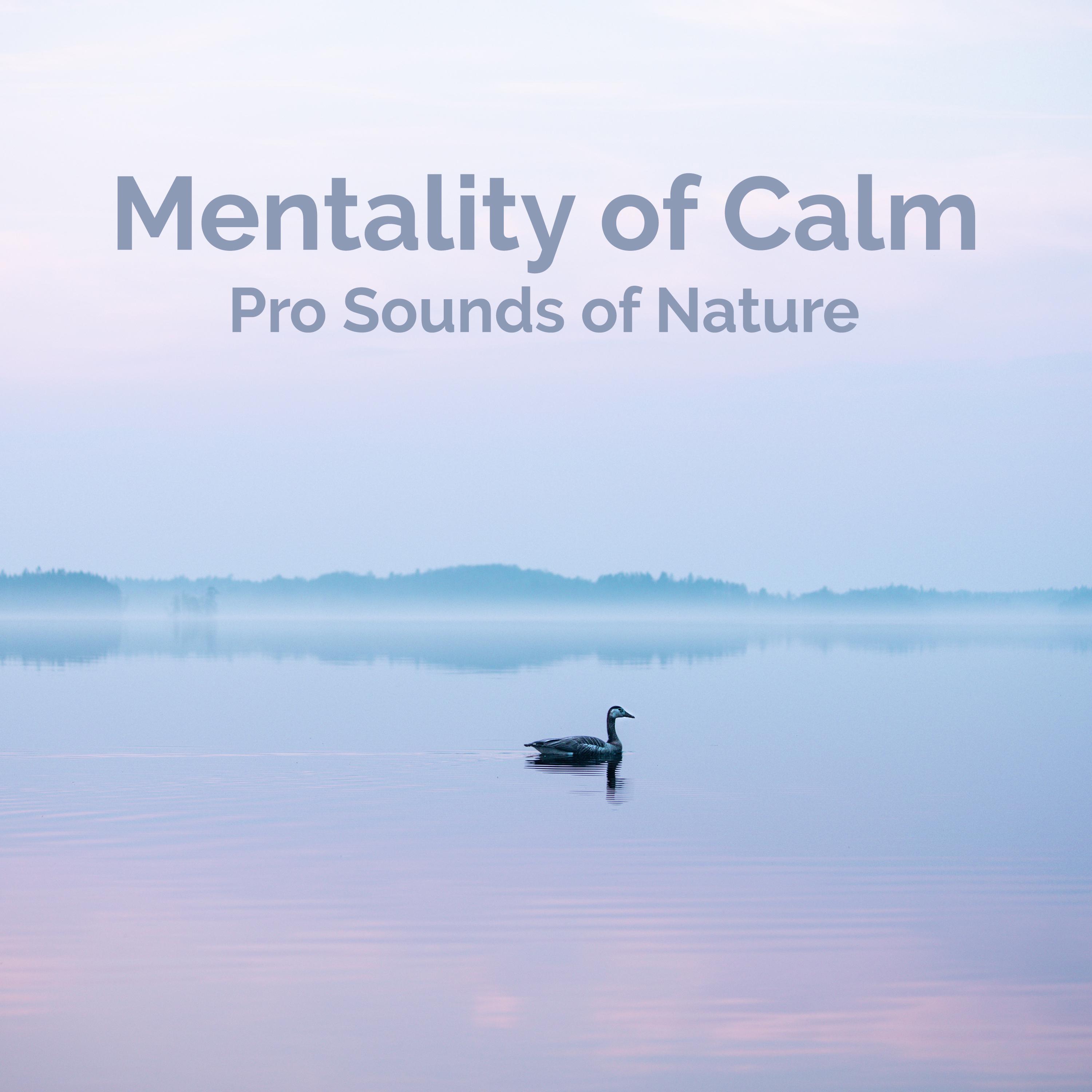 Mentality of Calm