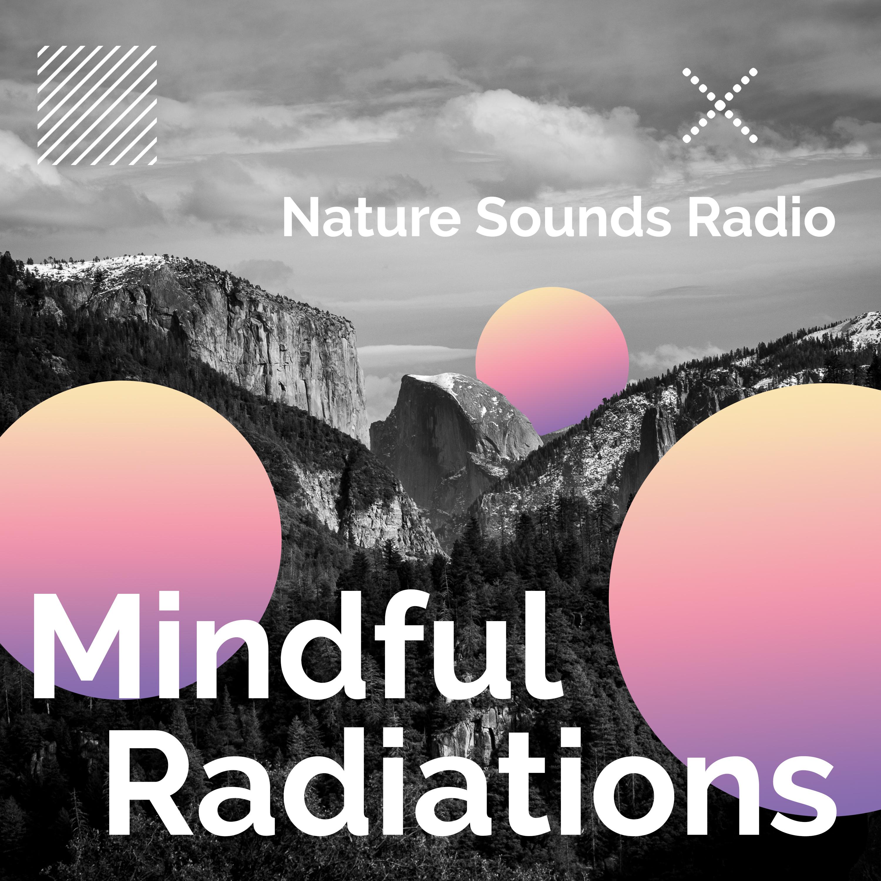 Mindful Radiations