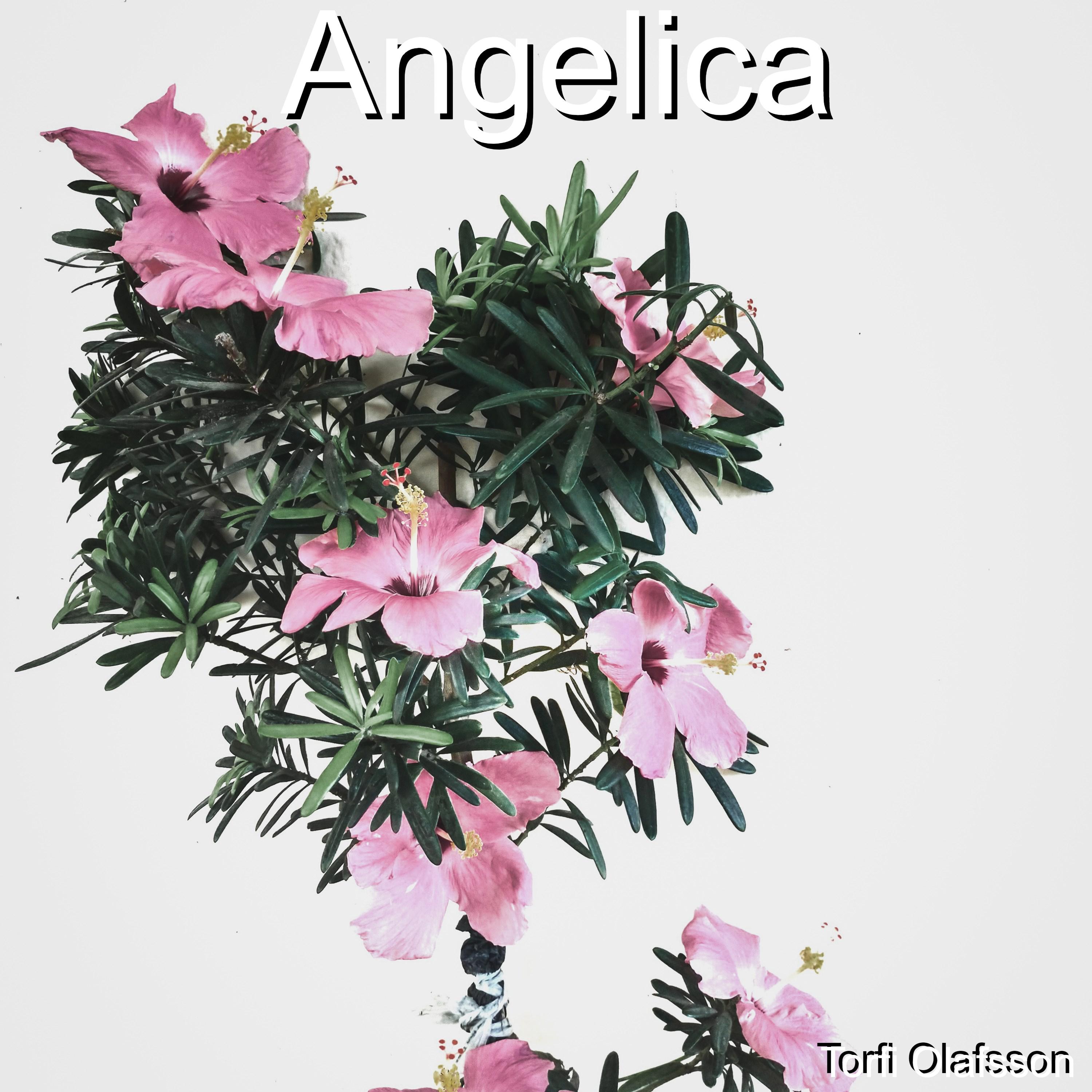 Angelica