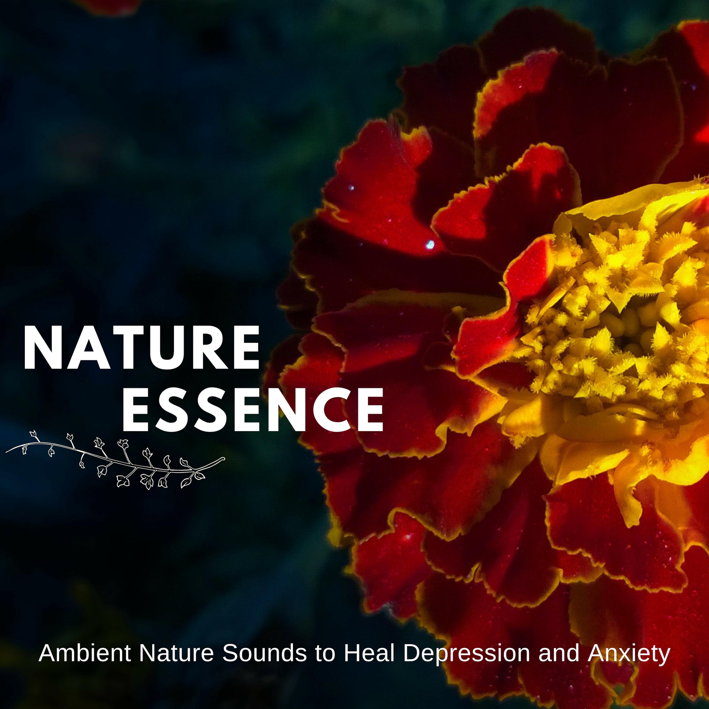 Nature Essence - Ambient Nature Sounds To Heal Depression And Anxiety