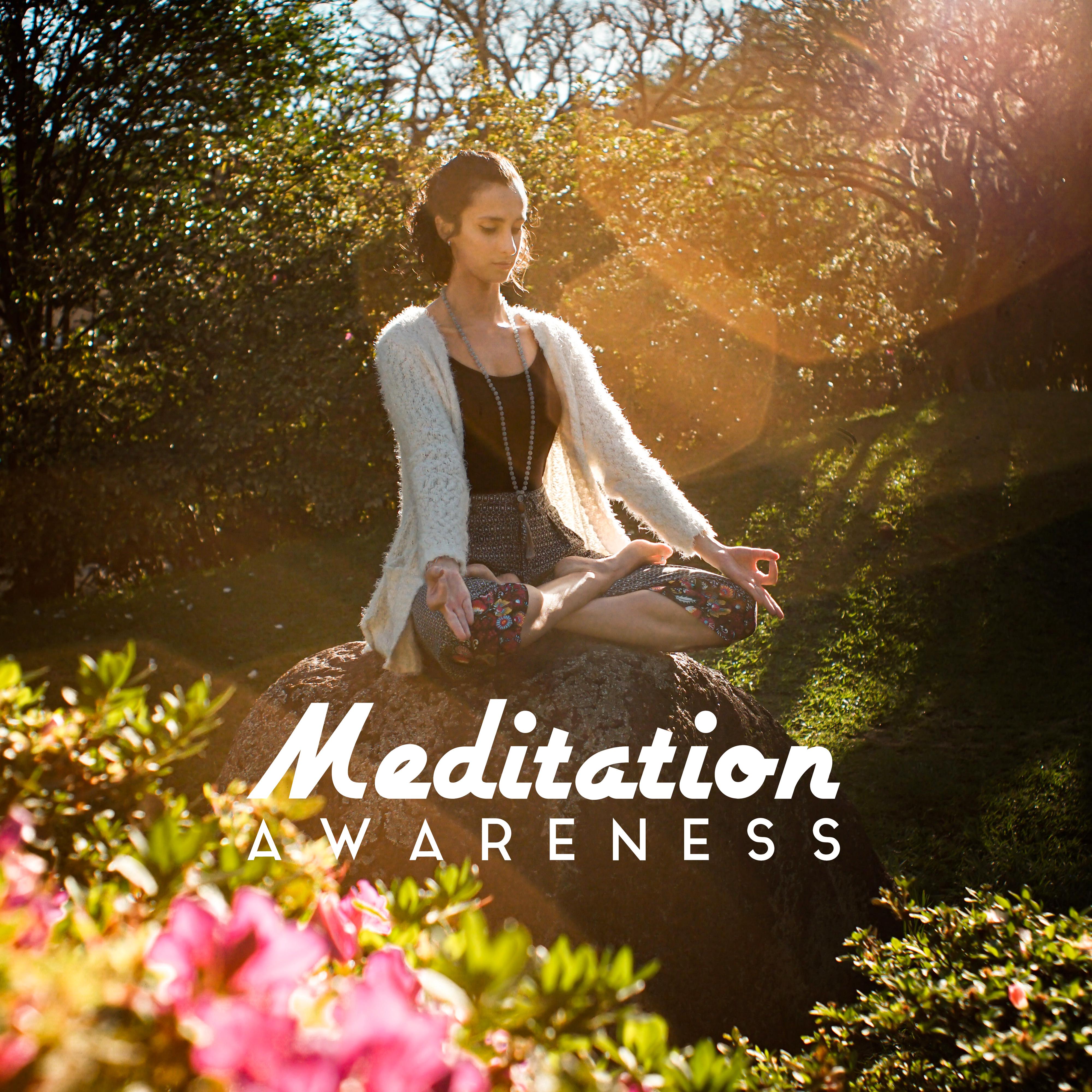 Meditation Awareness: Meditation Music Zone, Relaxing Yoga, Calm Down, Zen, Pure Mind, Spiritual Awakening