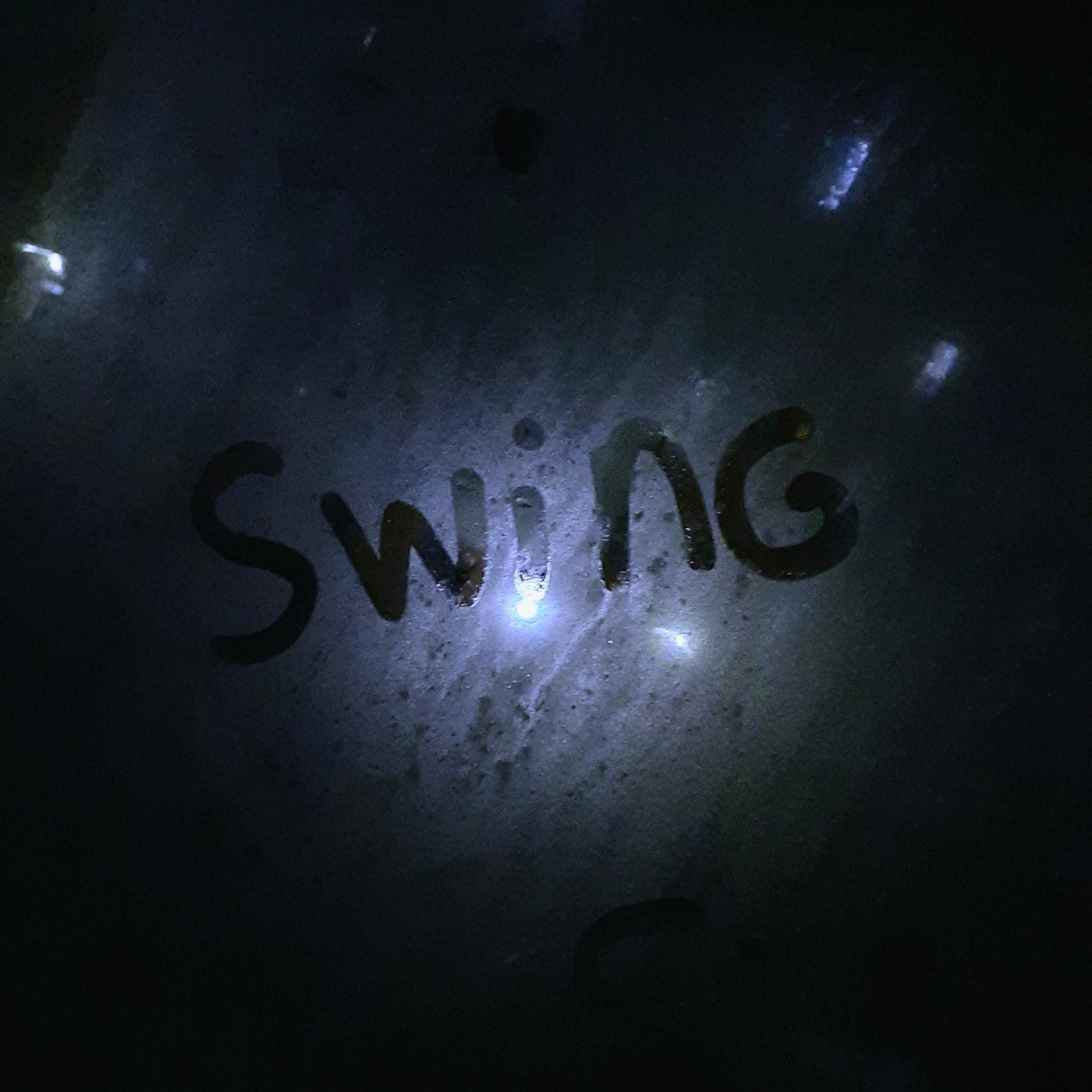 Swing