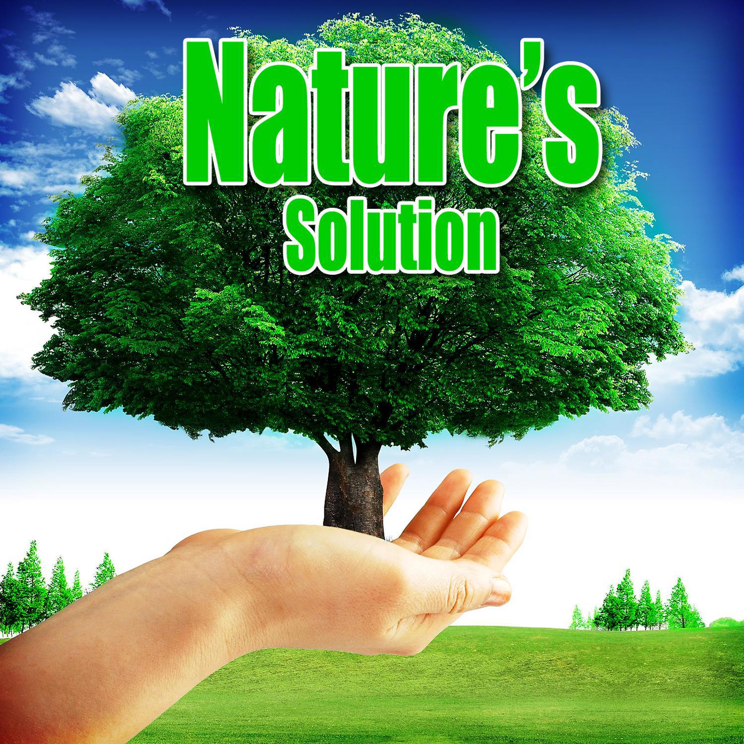 Nature's Solution: Piano Music and Nature Sounds