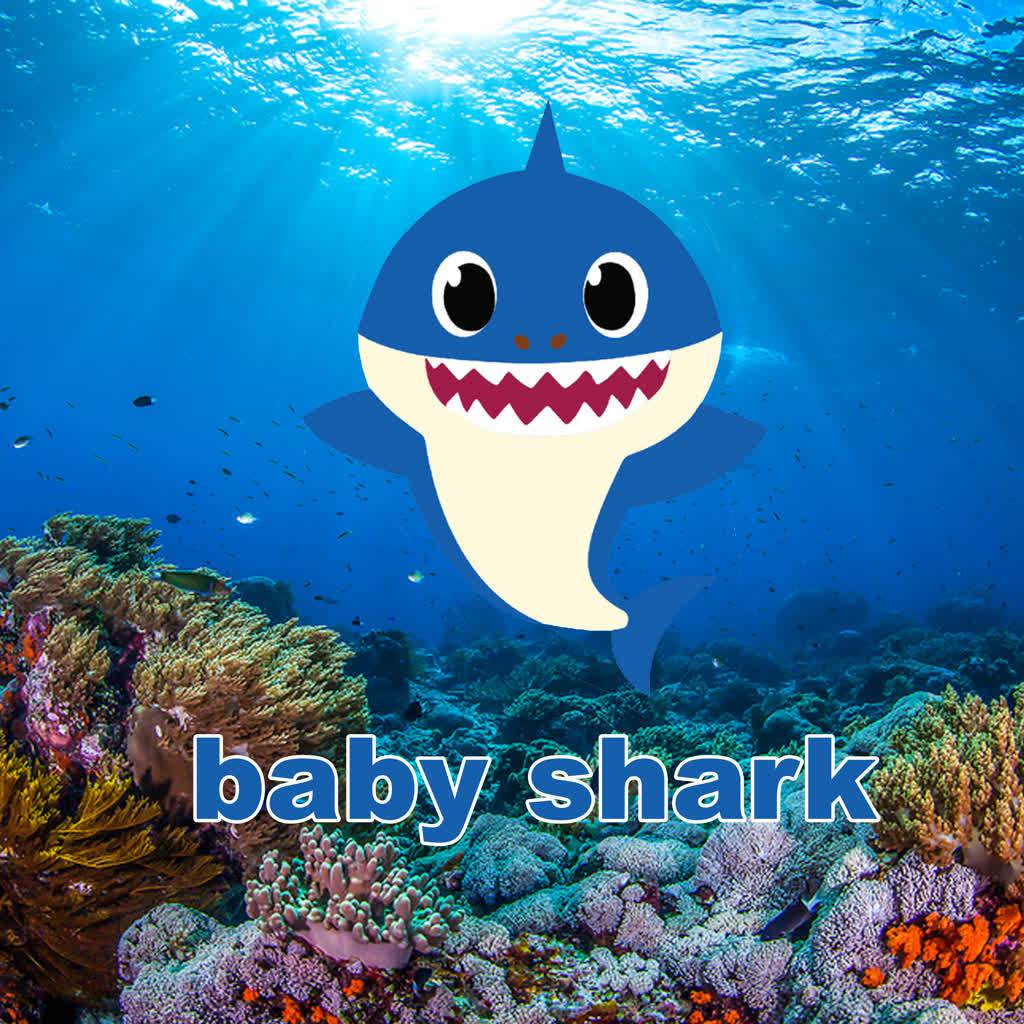 Baby Shark