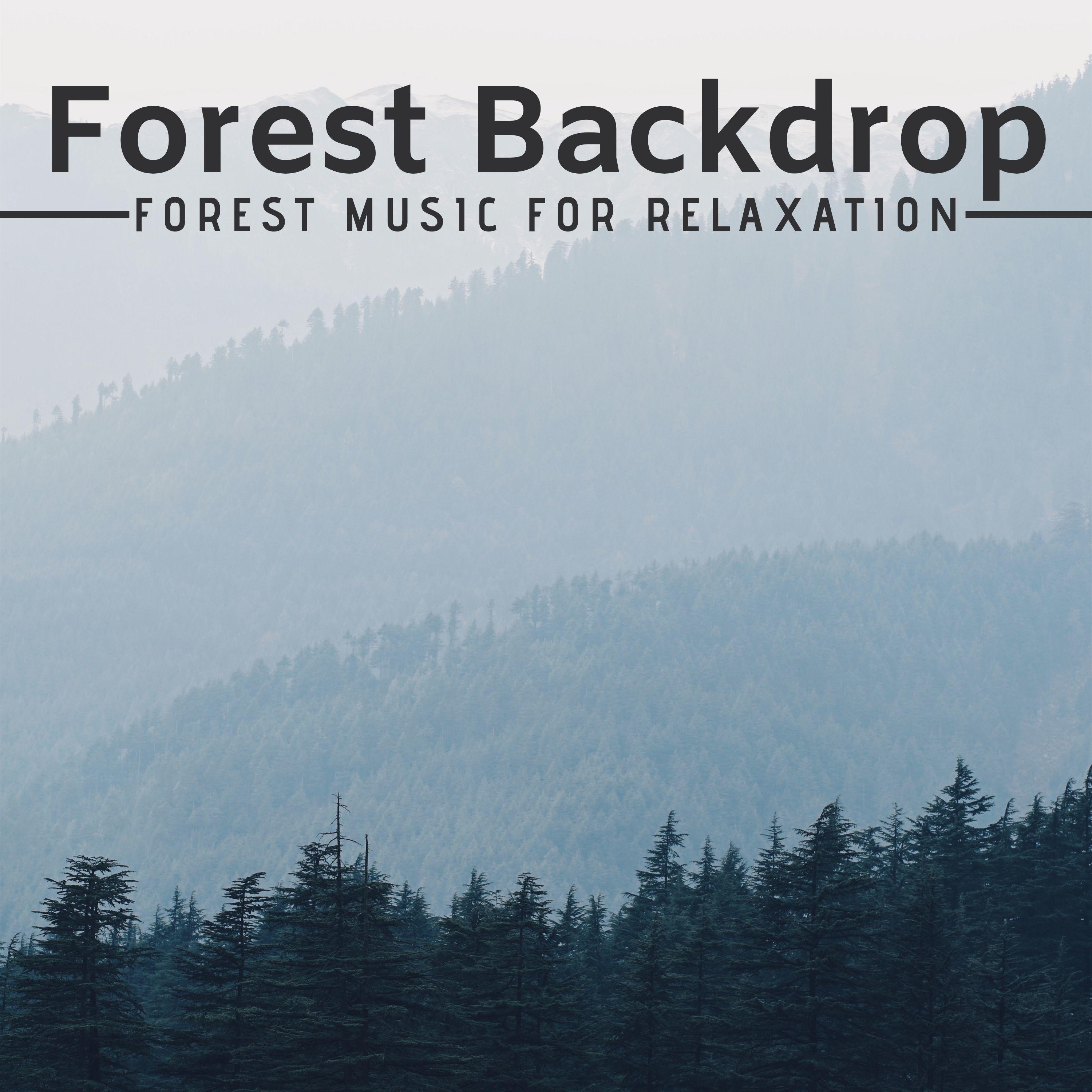 Forest Backdrop - Forest Music for Relaxation