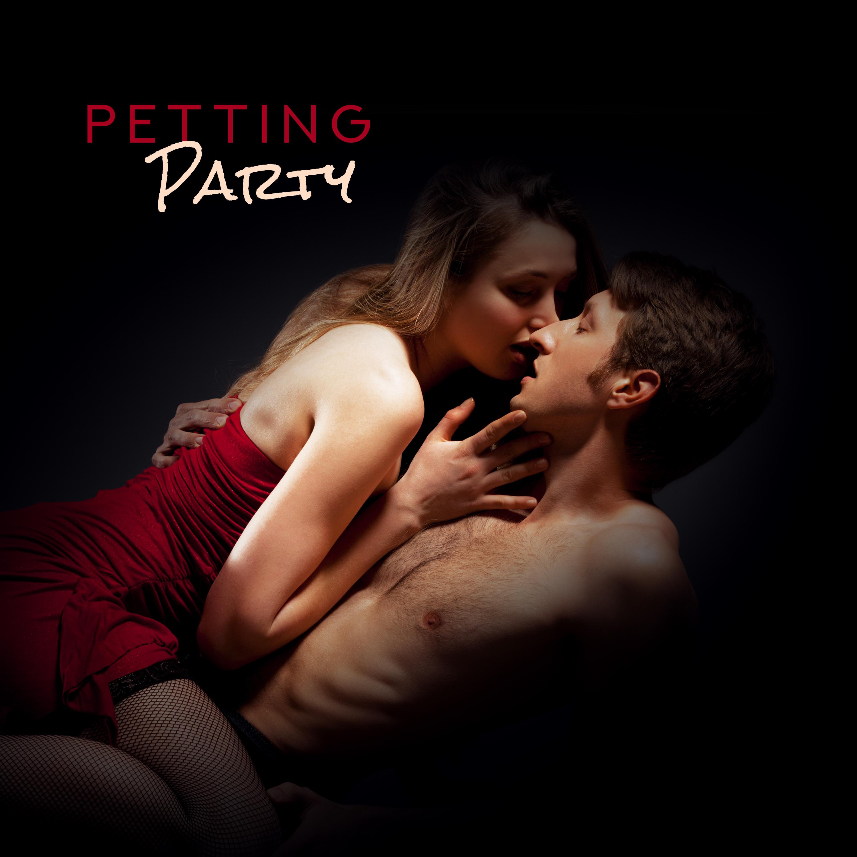 Petting Party - **** Songs from Nightclubs, Erotic Chillout Vibes, ****** Music Compilation