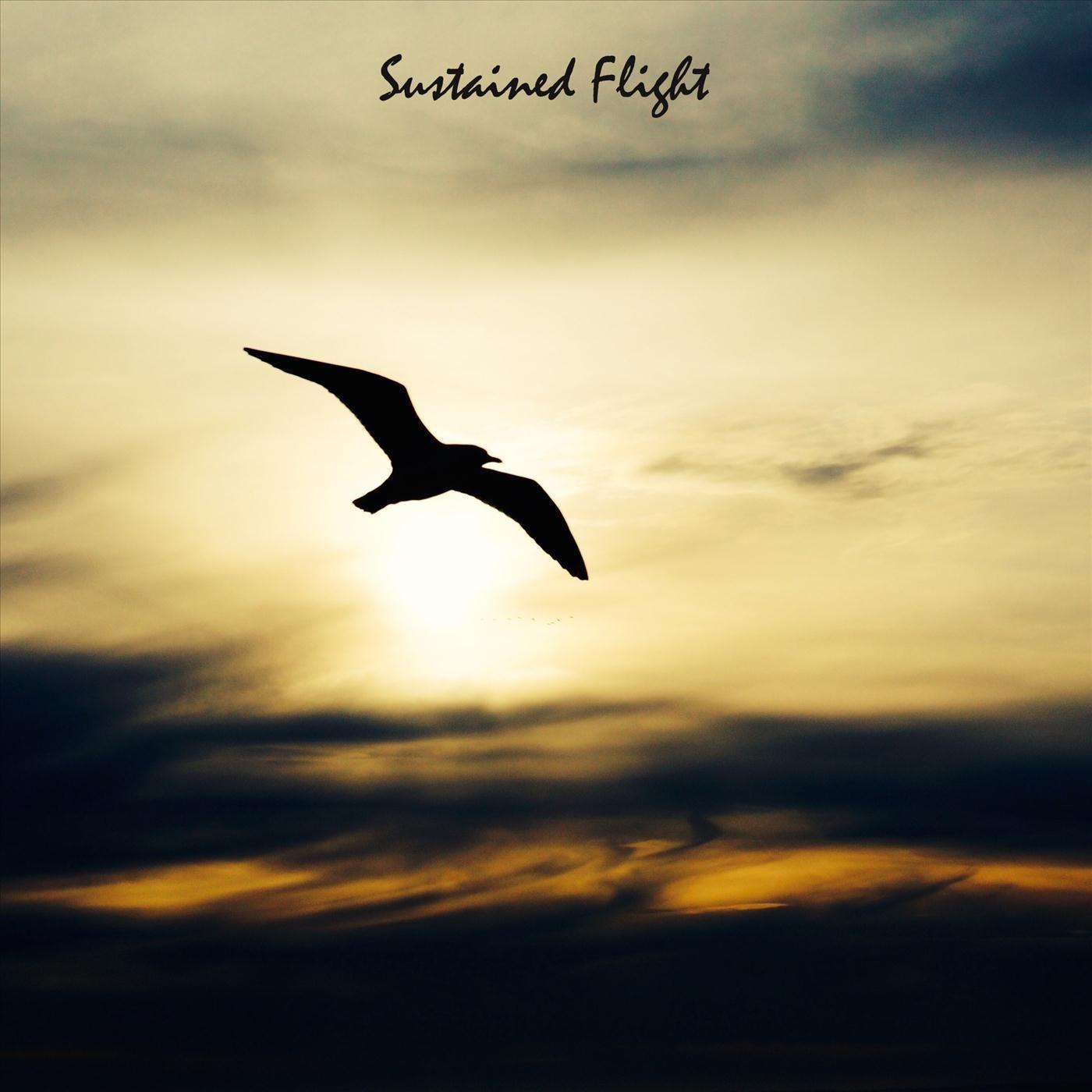 Sustained Flight