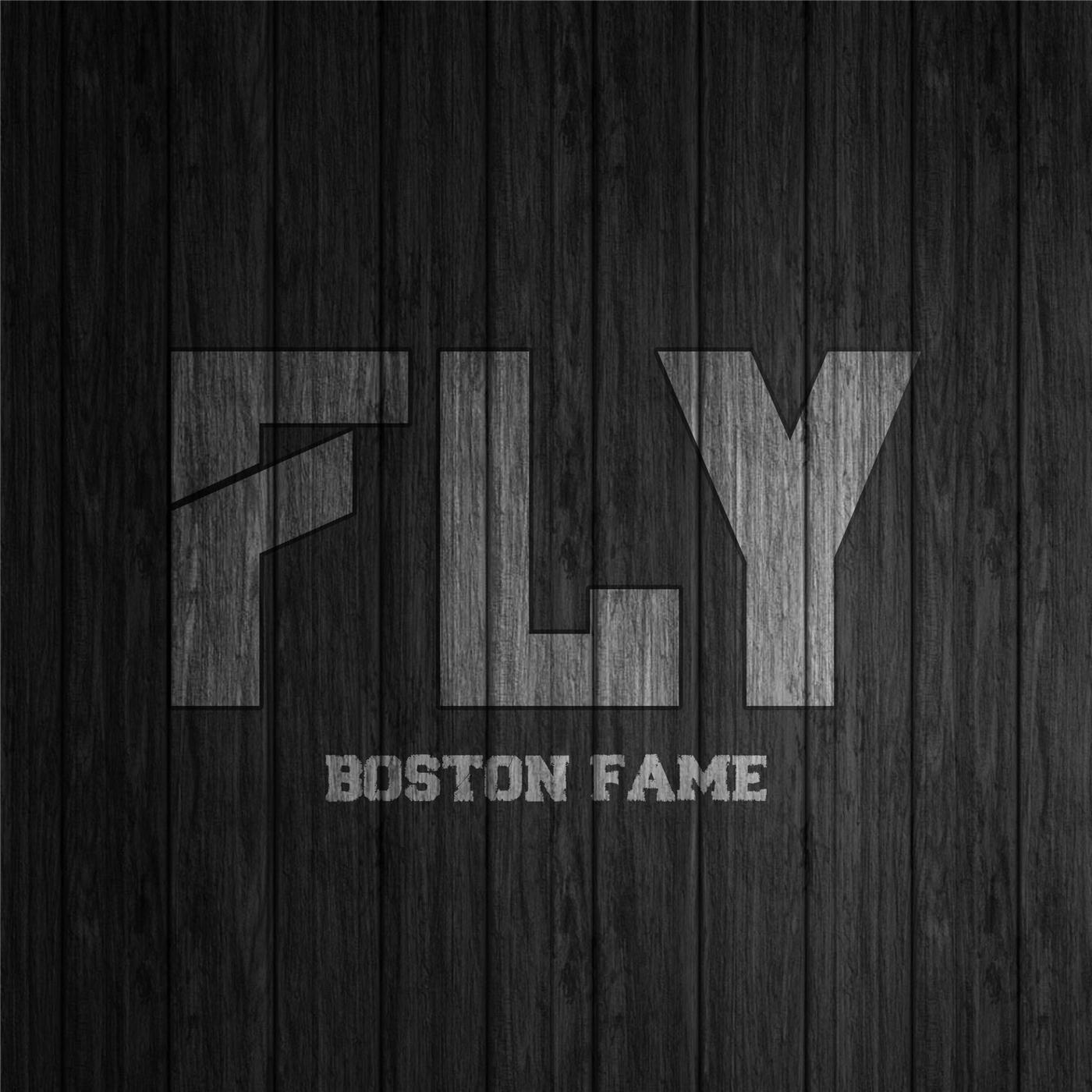 Fly
