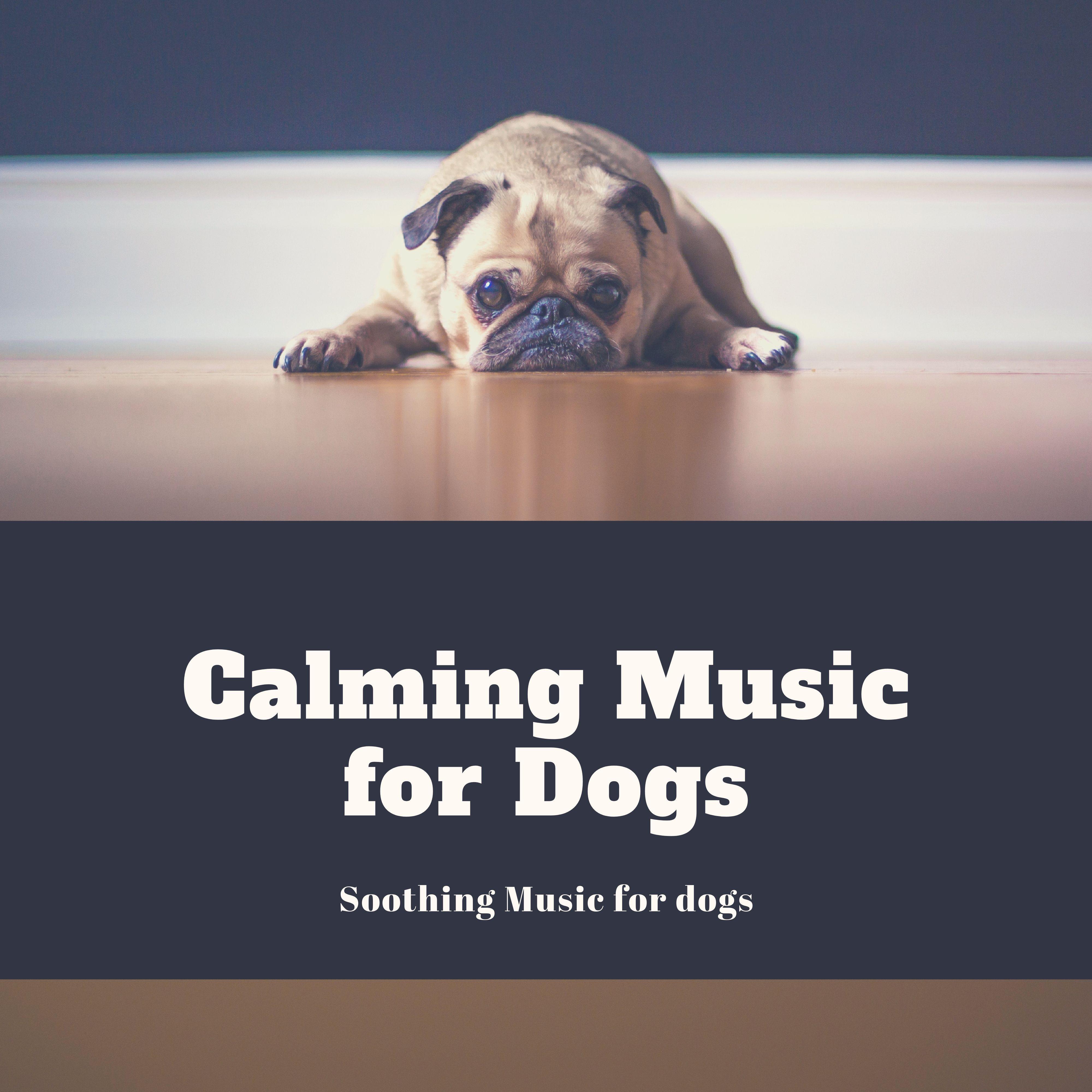 Soothing Music for Dogs