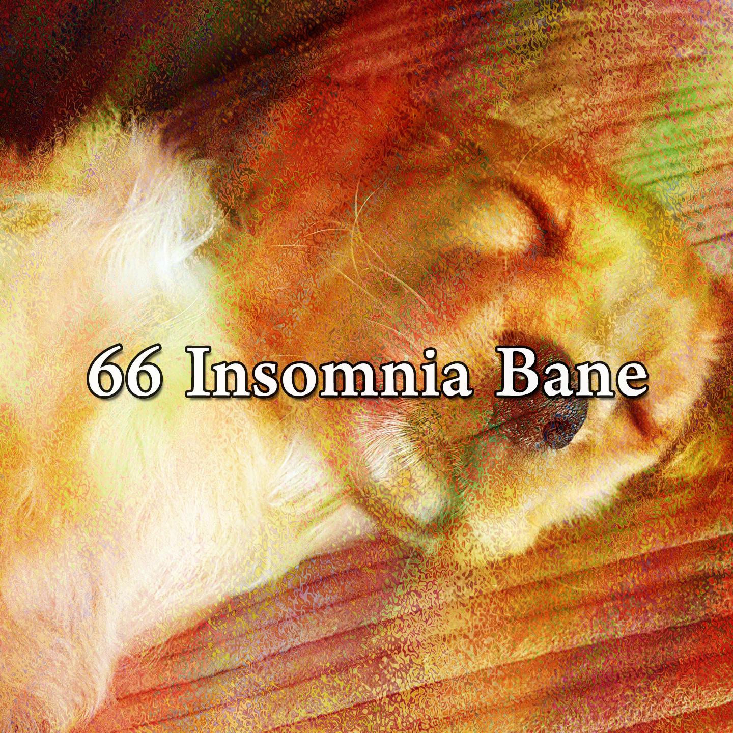66 Insomnia Bane