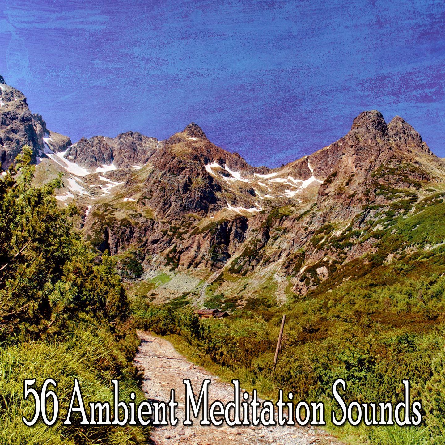 56 Ambient Meditation Sounds