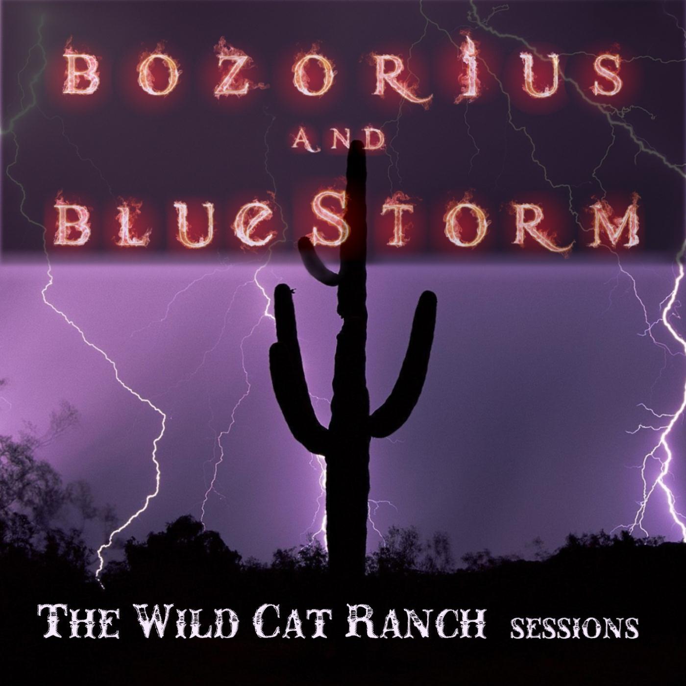 The Wild Cat Ranch Sessions