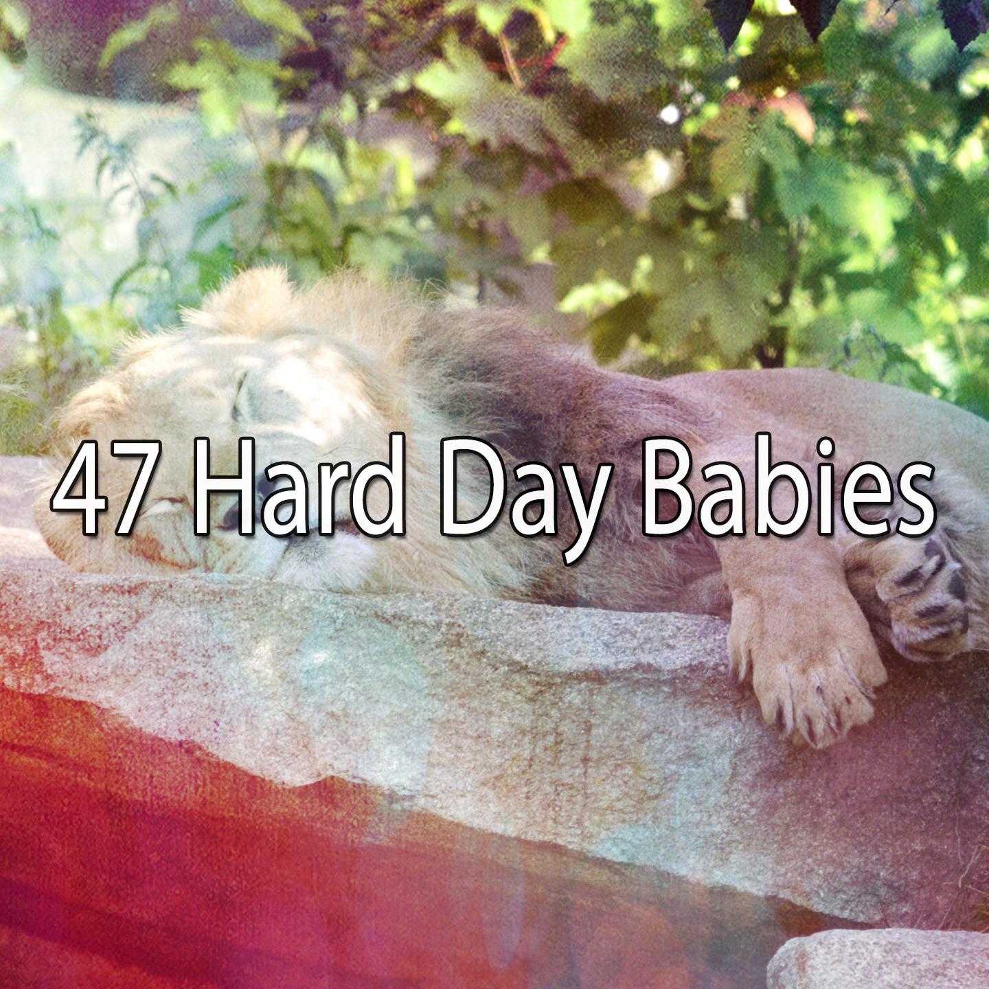 47 Hard Day Babies