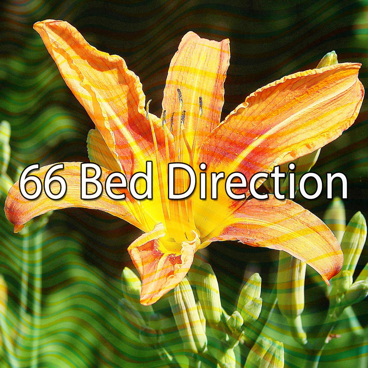 66 Bed Direction