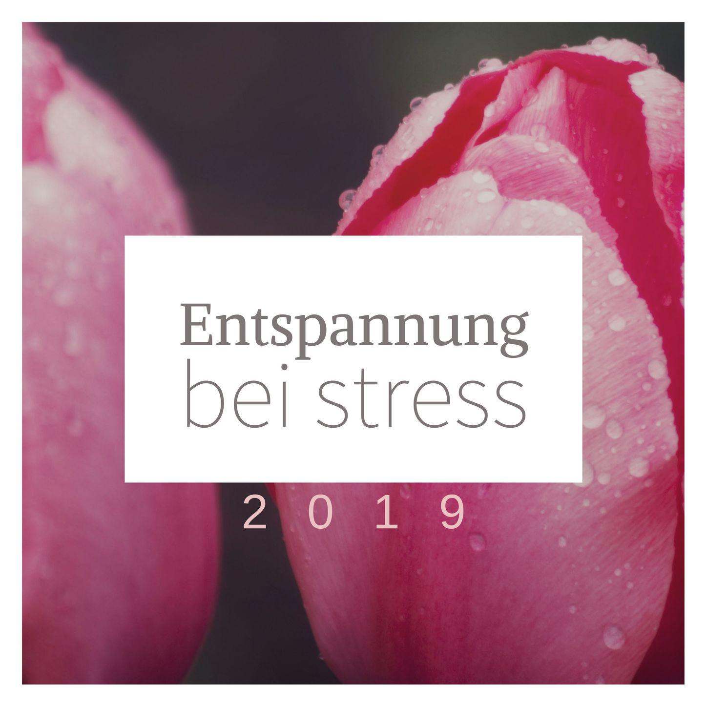 Trennen Sie sich von Stress