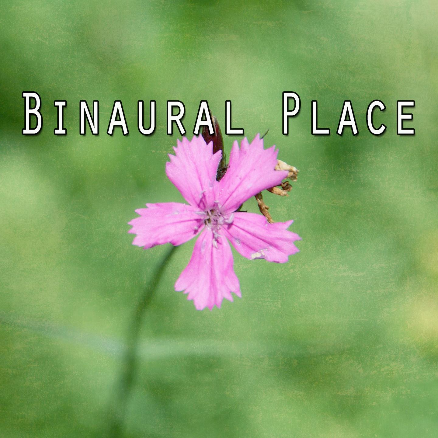 Binaural Place